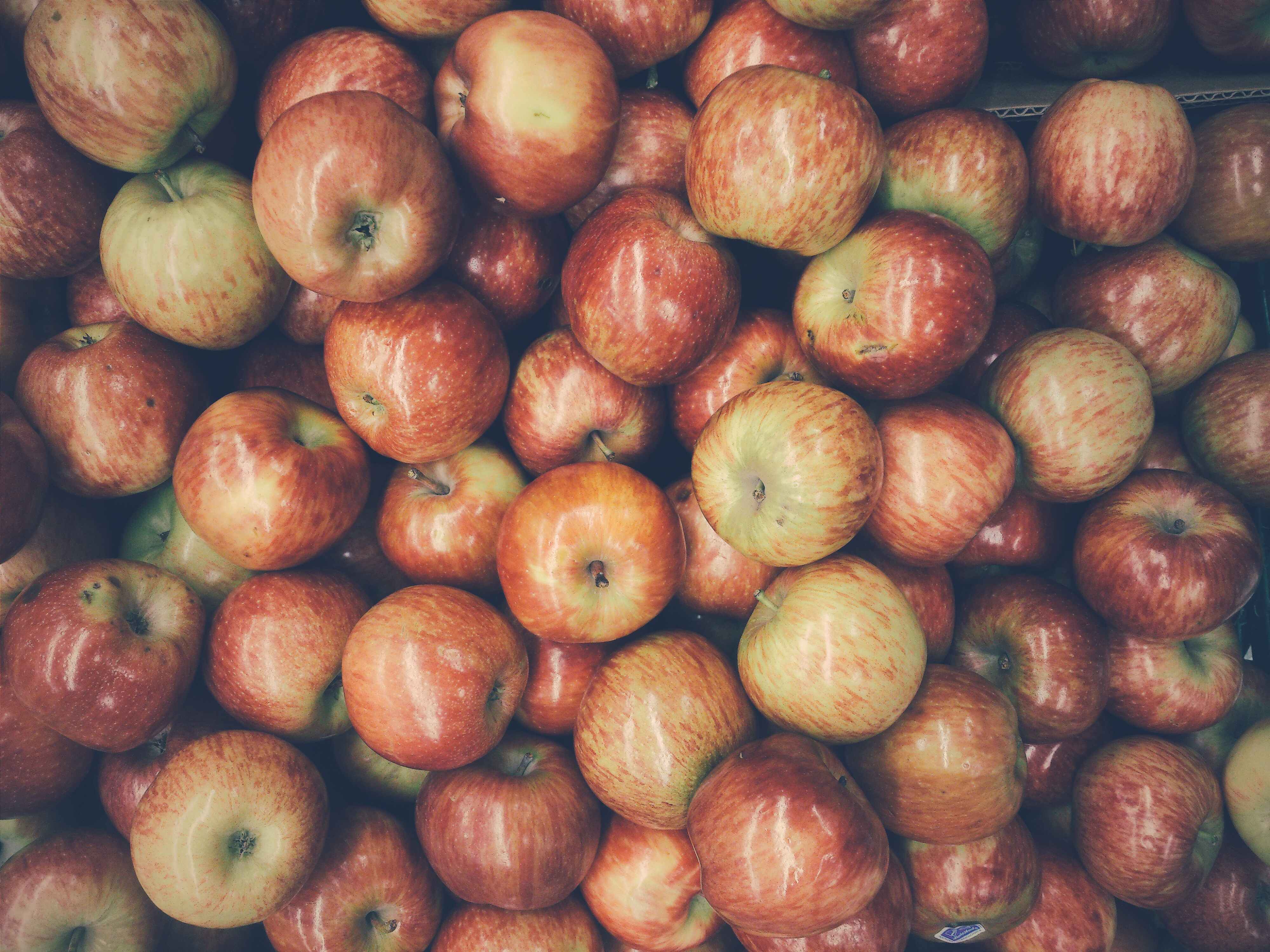 Download mobile wallpaper Ripe, Food, Harvest, Apples, Fruits for free.