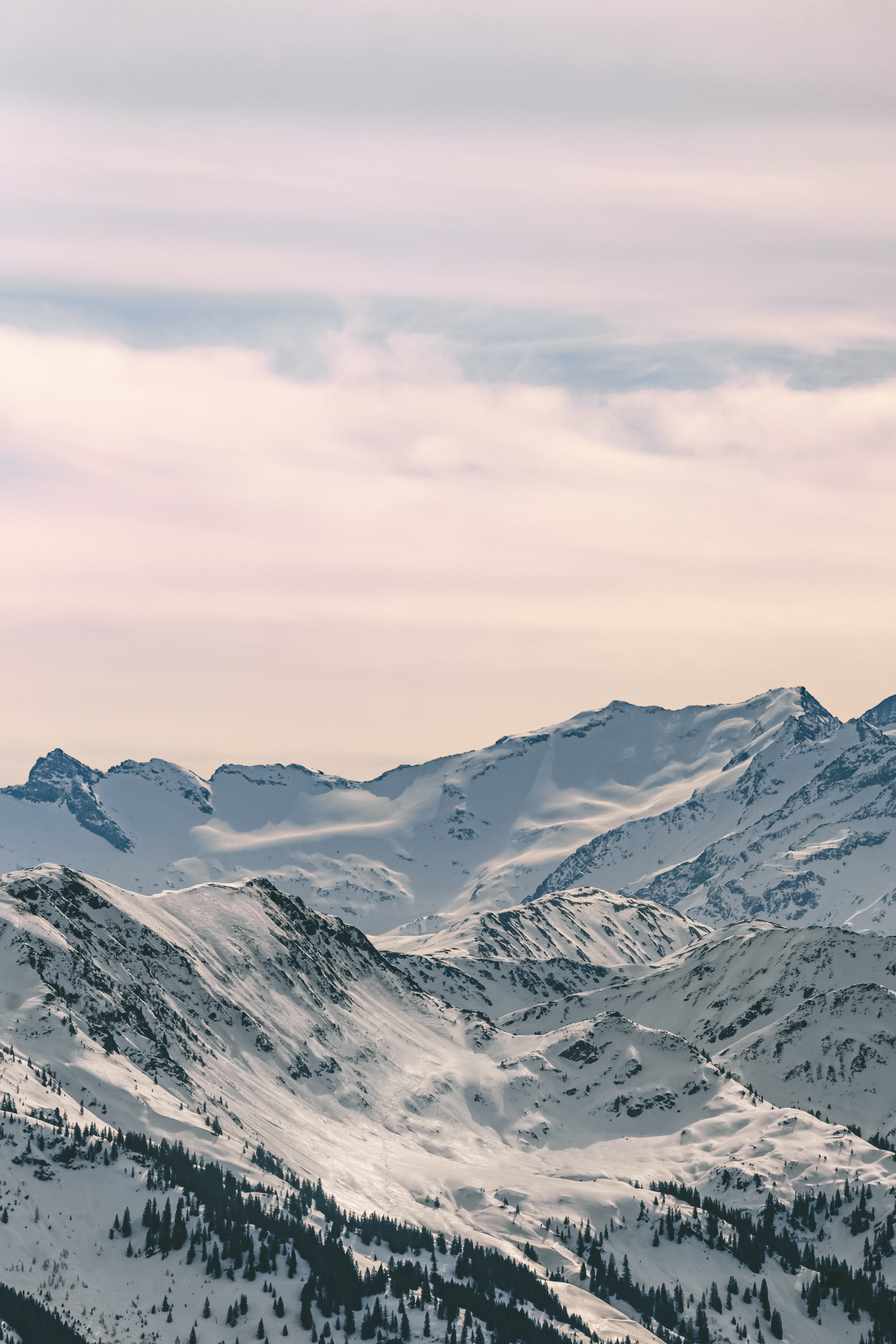nature, mountains, snow, vertex, forest, tops Desktop home screen Wallpaper