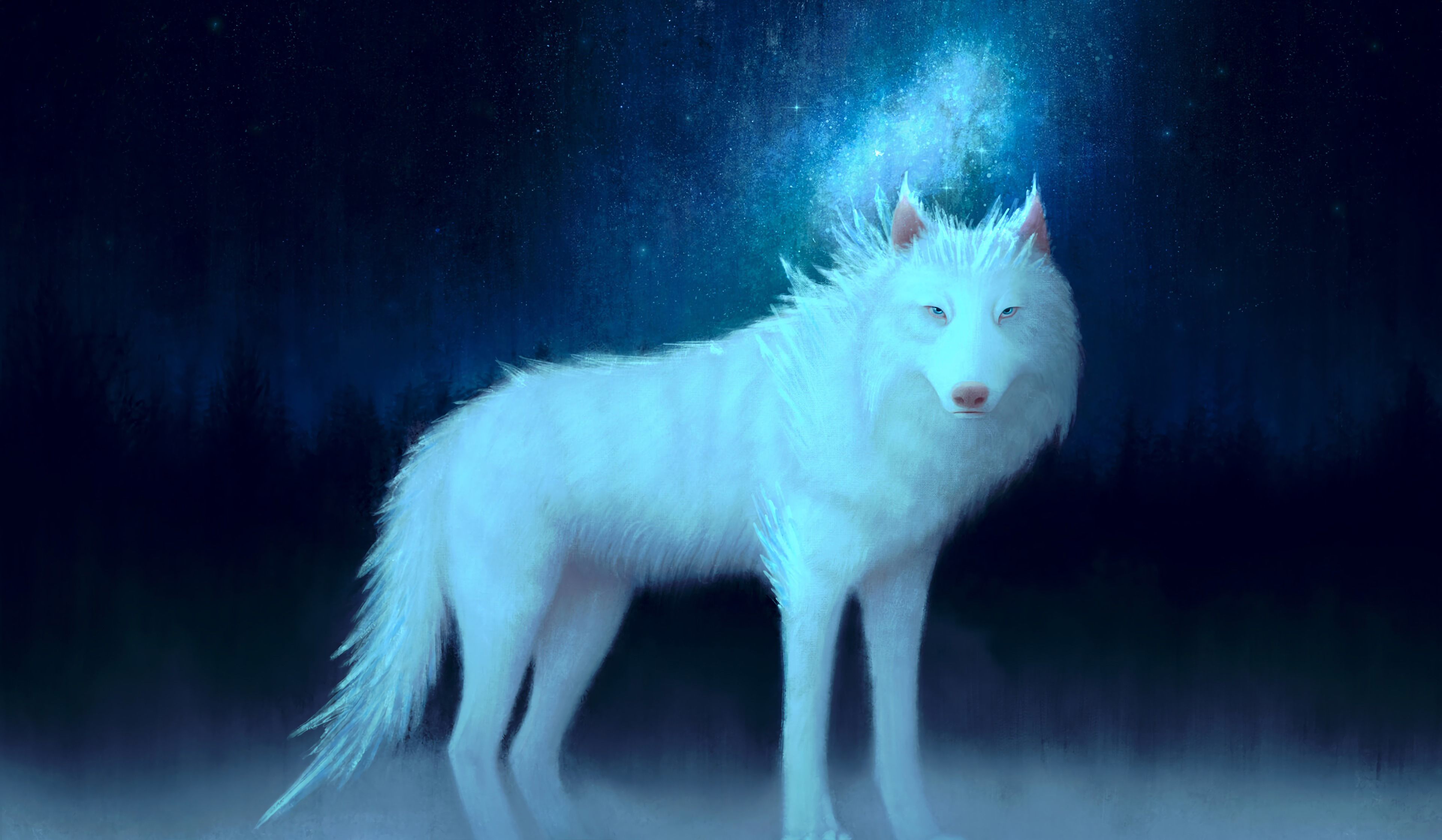 在您的 PC 桌面上免費下載 艺术, 白色的, 动物, 狼 圖片
