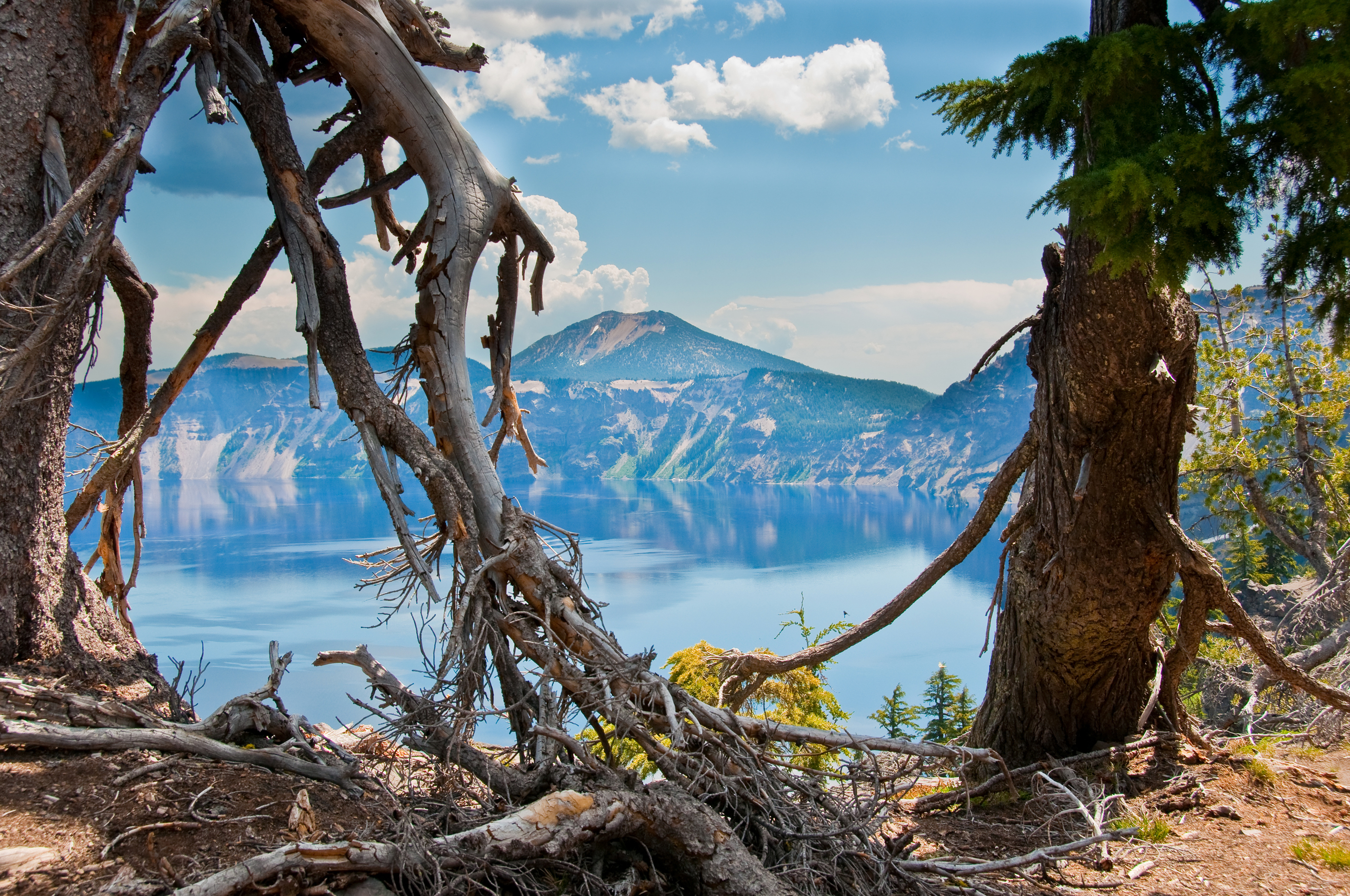 免费下载性质, 山, 俄勒冈州, 树, 美国手机壁纸。