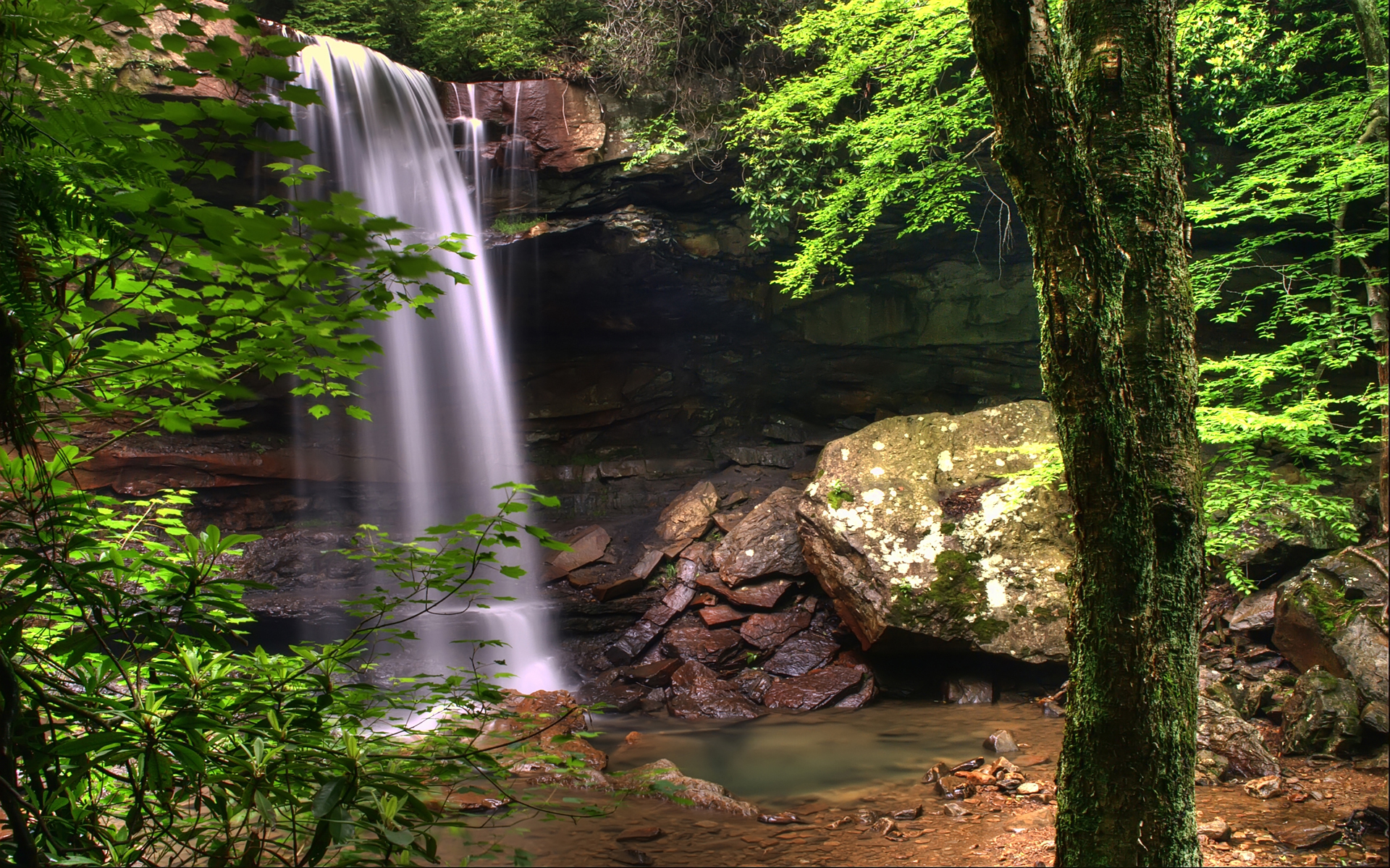 167572 免費下載壁紙 自然, 瀑布, 蕨类, 森林, 宾夕法尼亚州, 水 屏保和圖片
