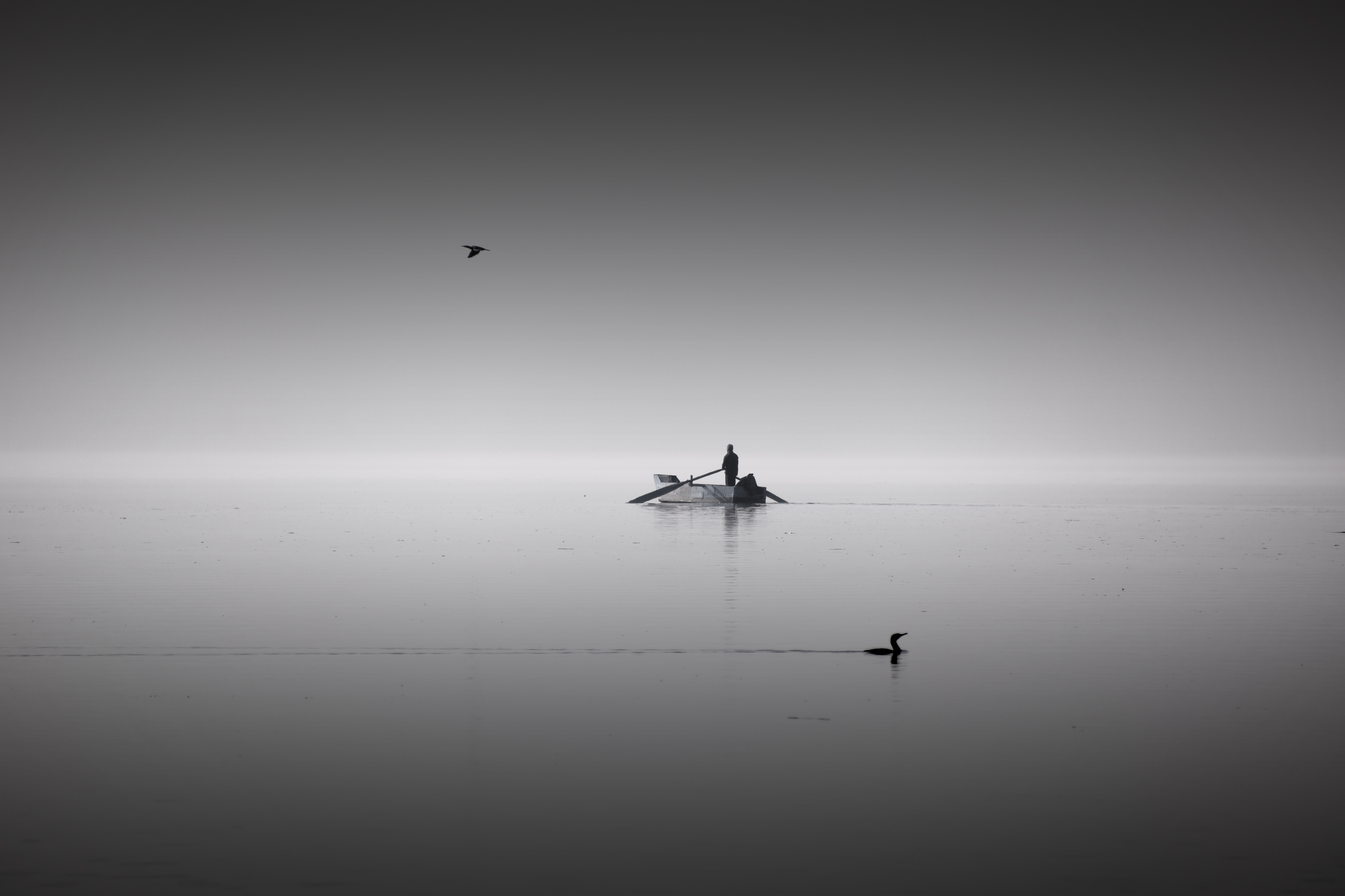silence, boat, minimalism, birds, horizon, lake, bw, chb, human, person, calm