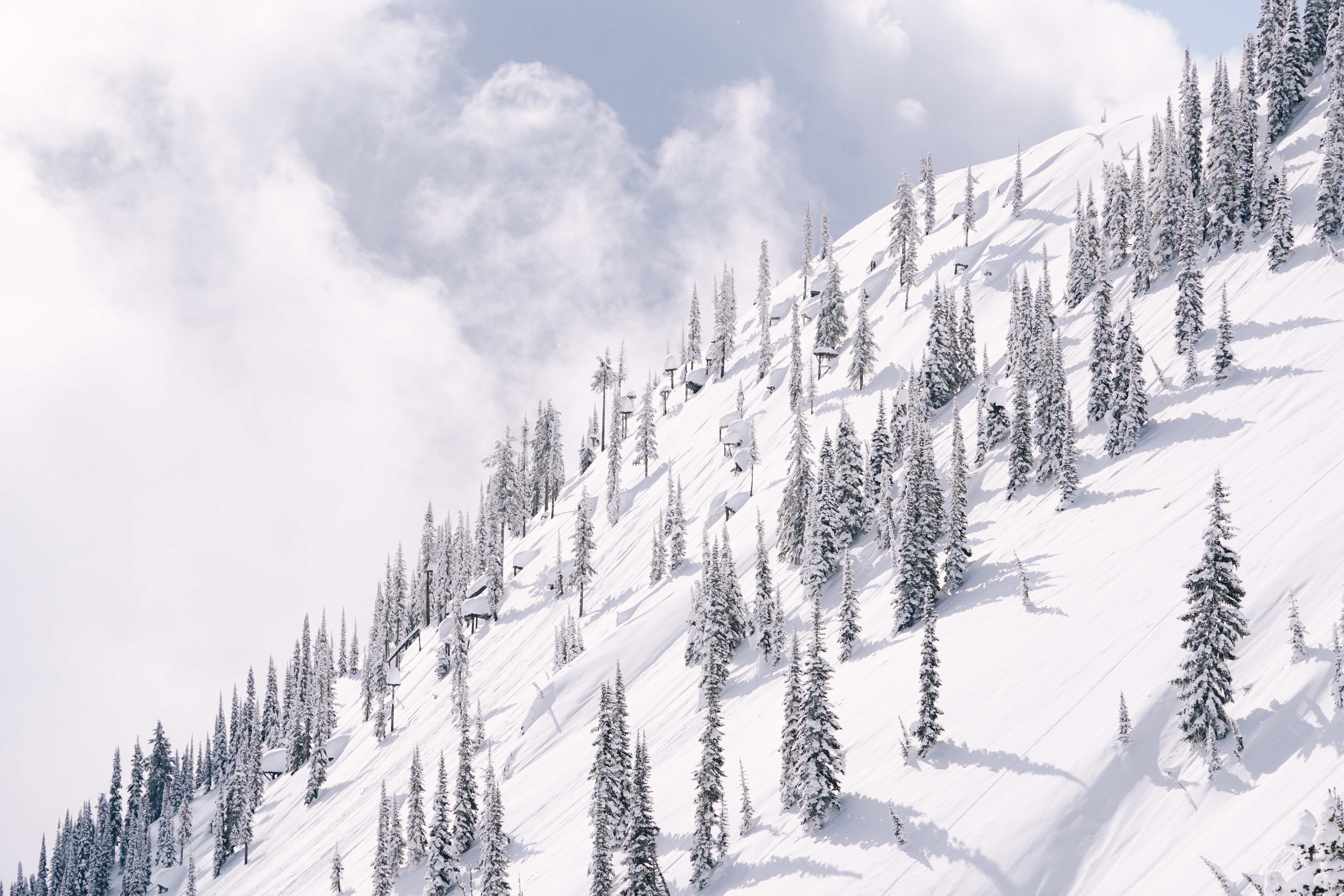 Скачать картинку Склон, Гора, Природа, Деревья, Снег, Зима в телефон бесплатно.
