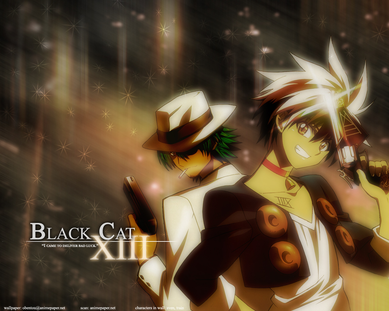 anime, black cat