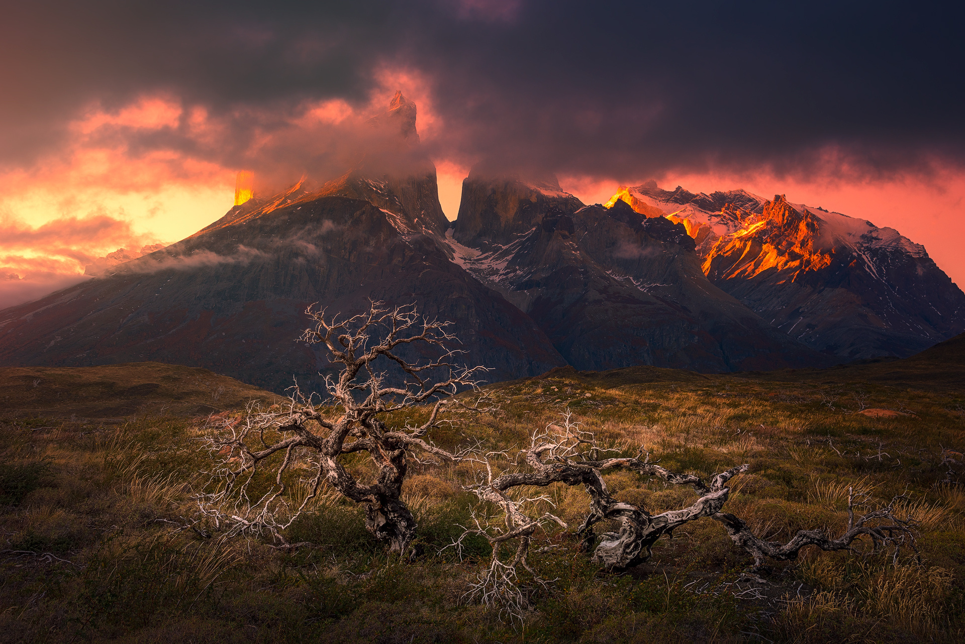 mountains, earth, torres del paine, chile, cloud, landscape, lonely tree, mountain, patagonia, tree