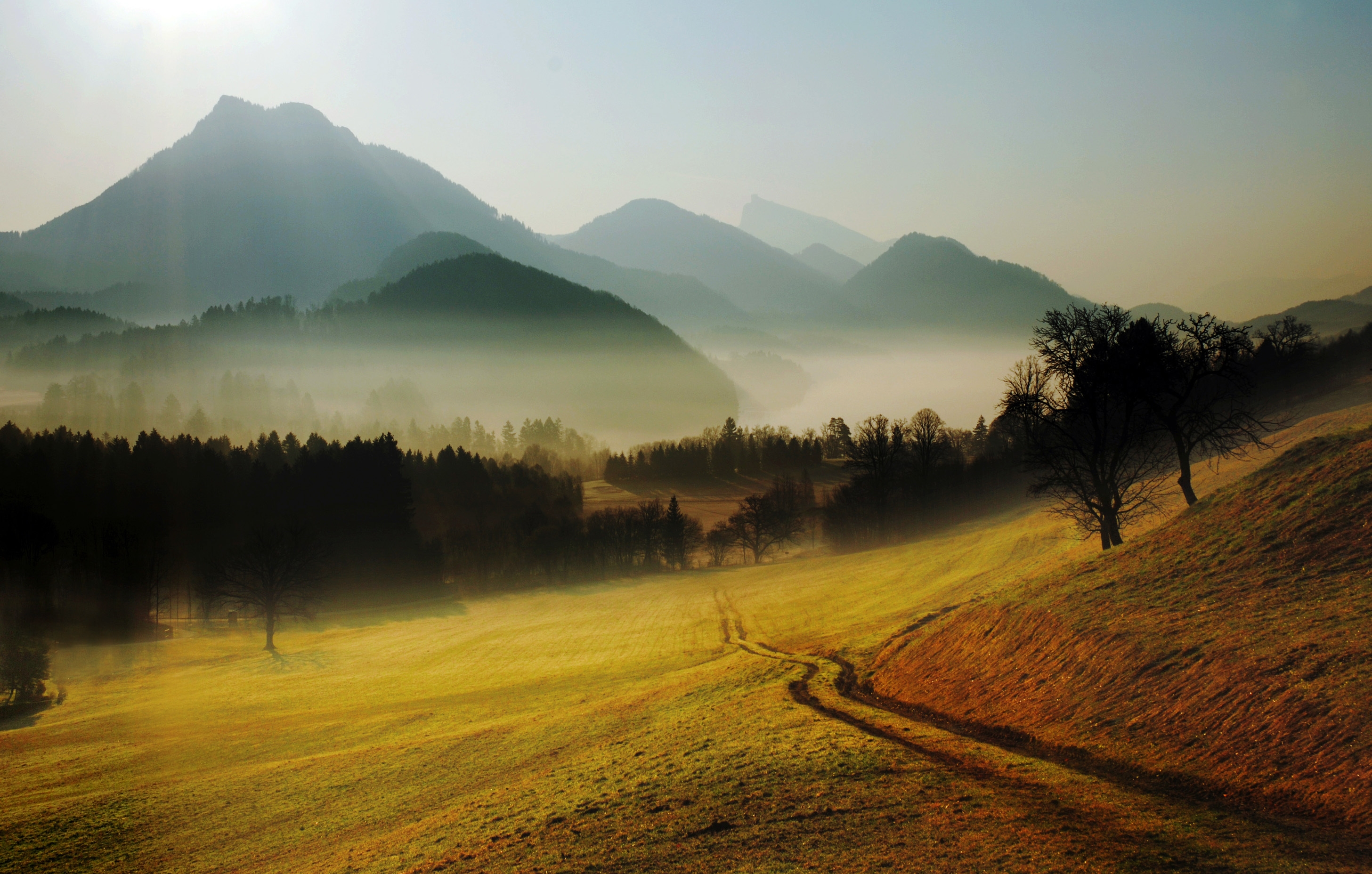 Download mobile wallpaper Countryside, Fog, Relief, Mountains, Road, Country, Nature, Hills, Morning for free.
