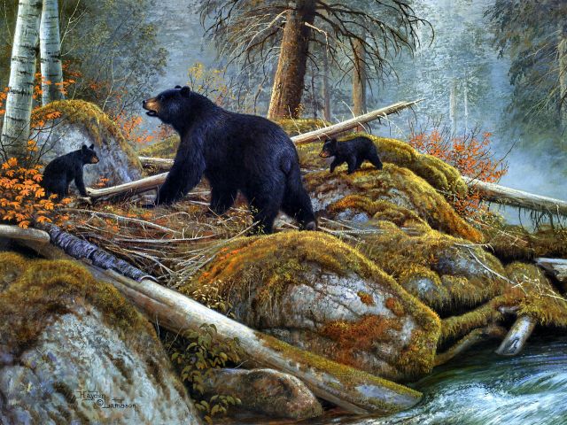 1390753 Bild herunterladen künstlerisch, amerikanischer schwarzbär, grizzlybär, jungtier, schwarzbär, bär, tragen - Hintergrundbilder und Bildschirmschoner kostenlos