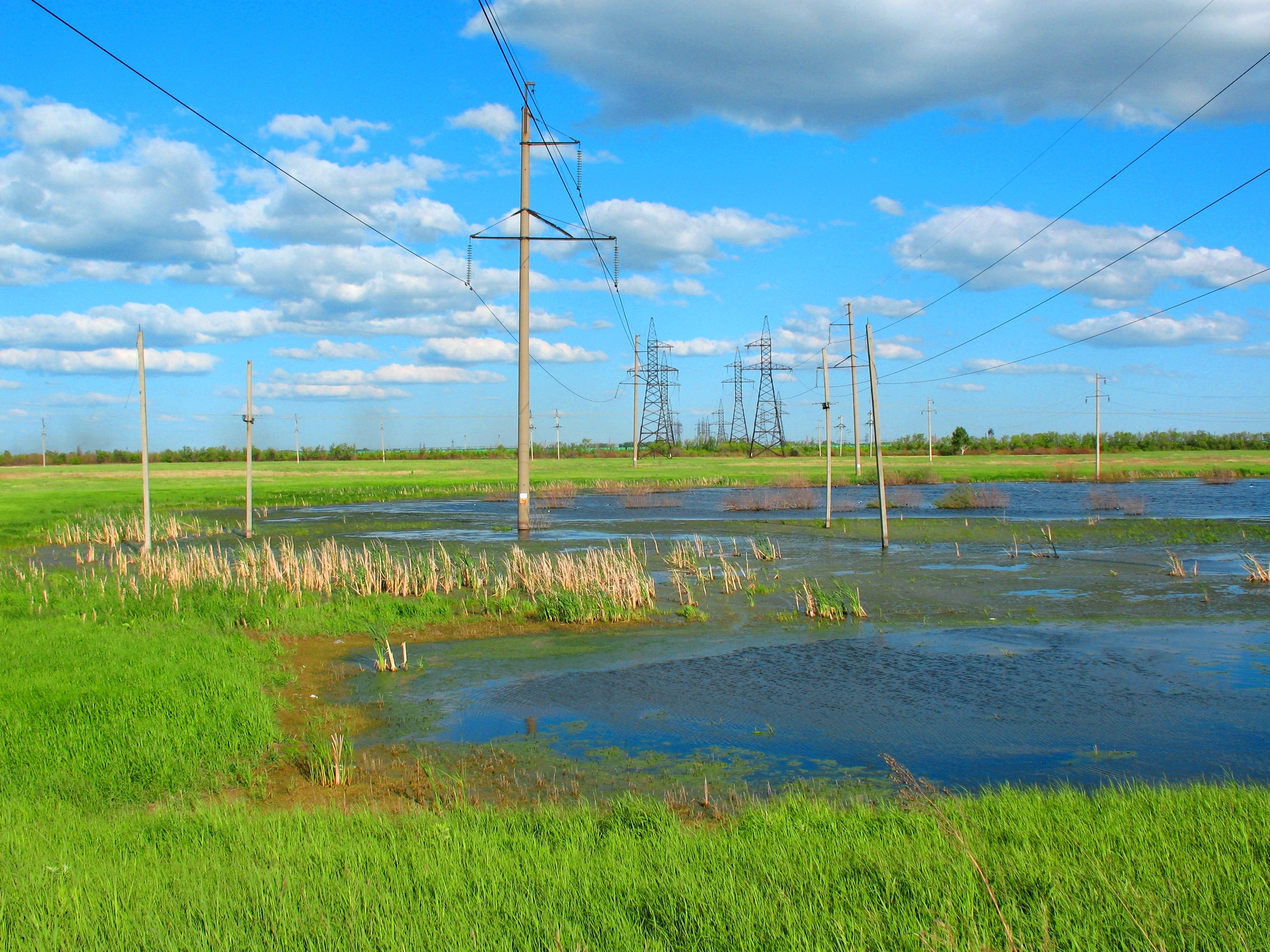 electricity, summer, nature, swamp, steppe, wasteland, high voltage