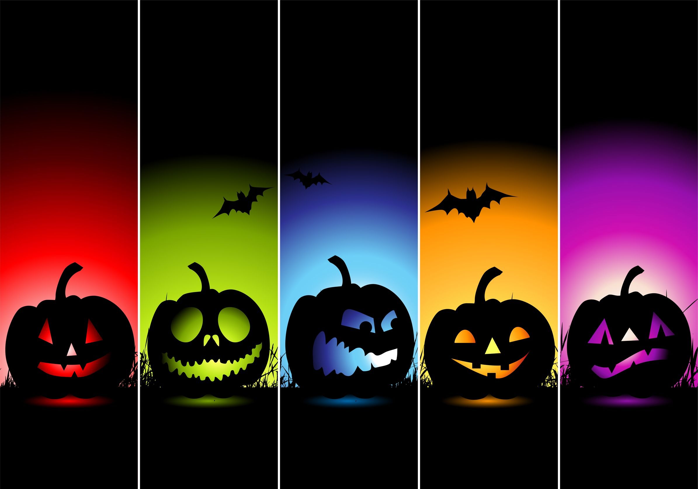 holiday, halloween, colors, jack o' lantern, pumpkin wallpaper for mobile