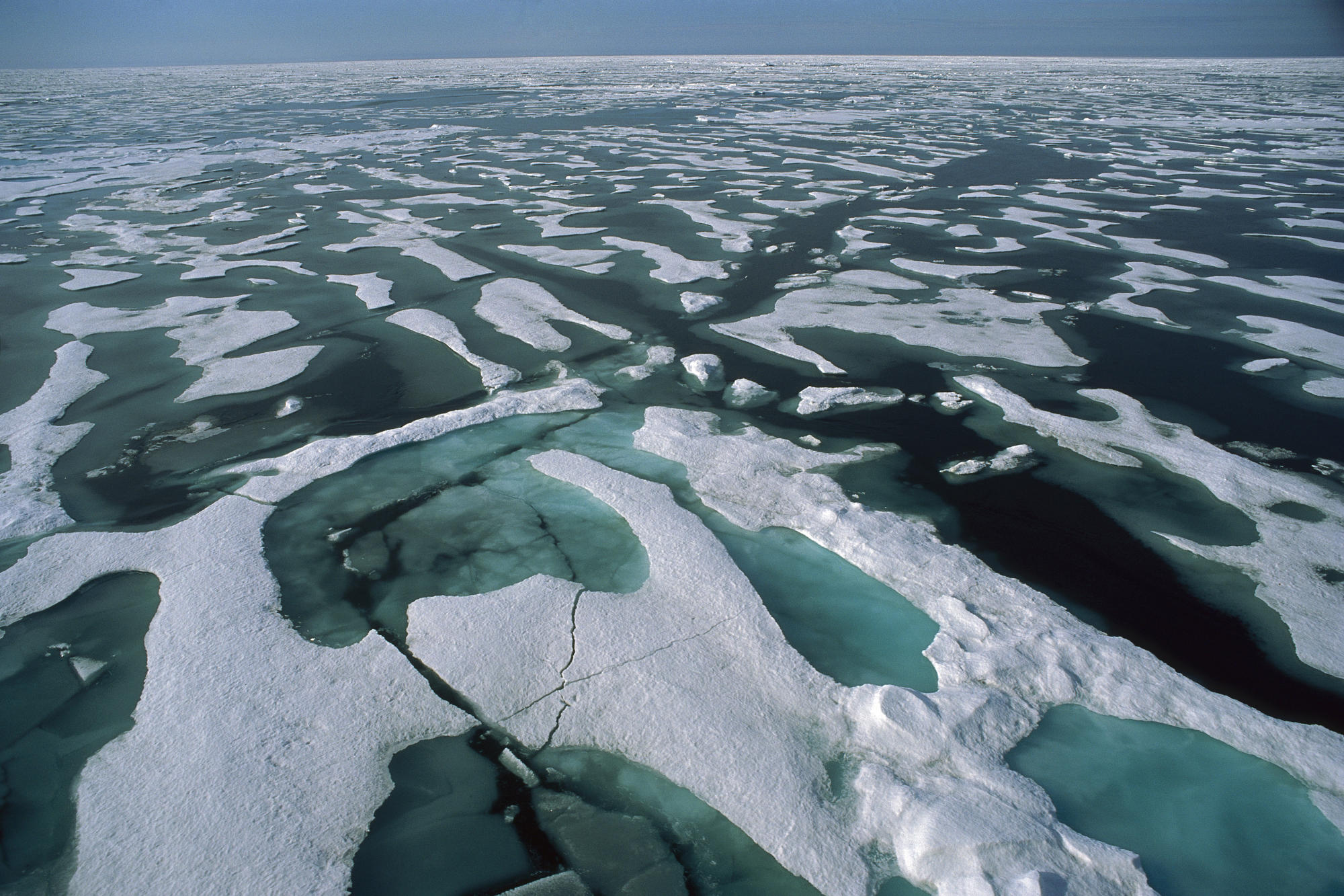 Ледовое море. Северный Ледовитый океан Восточно-Сибирское море. Арктика Северный Ледовитый океан. Северный Ледовитый океан лед море. Льды Северного Ледовитого океана.