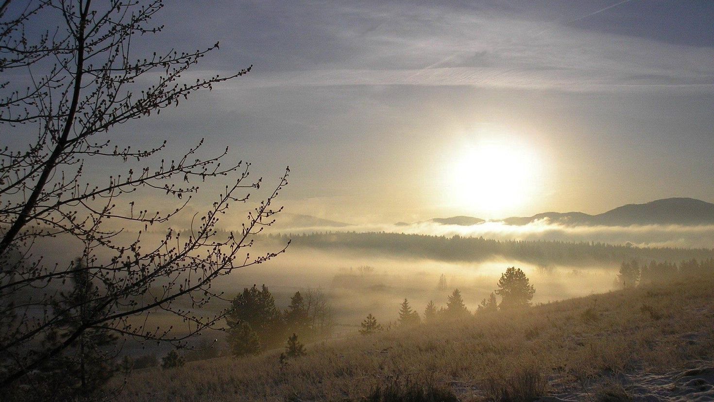 Туман стелется над полями и над синей. Утренний рассвет. Туманный пейзаж. Солнце в тумане. Пейзаж в дымке.
