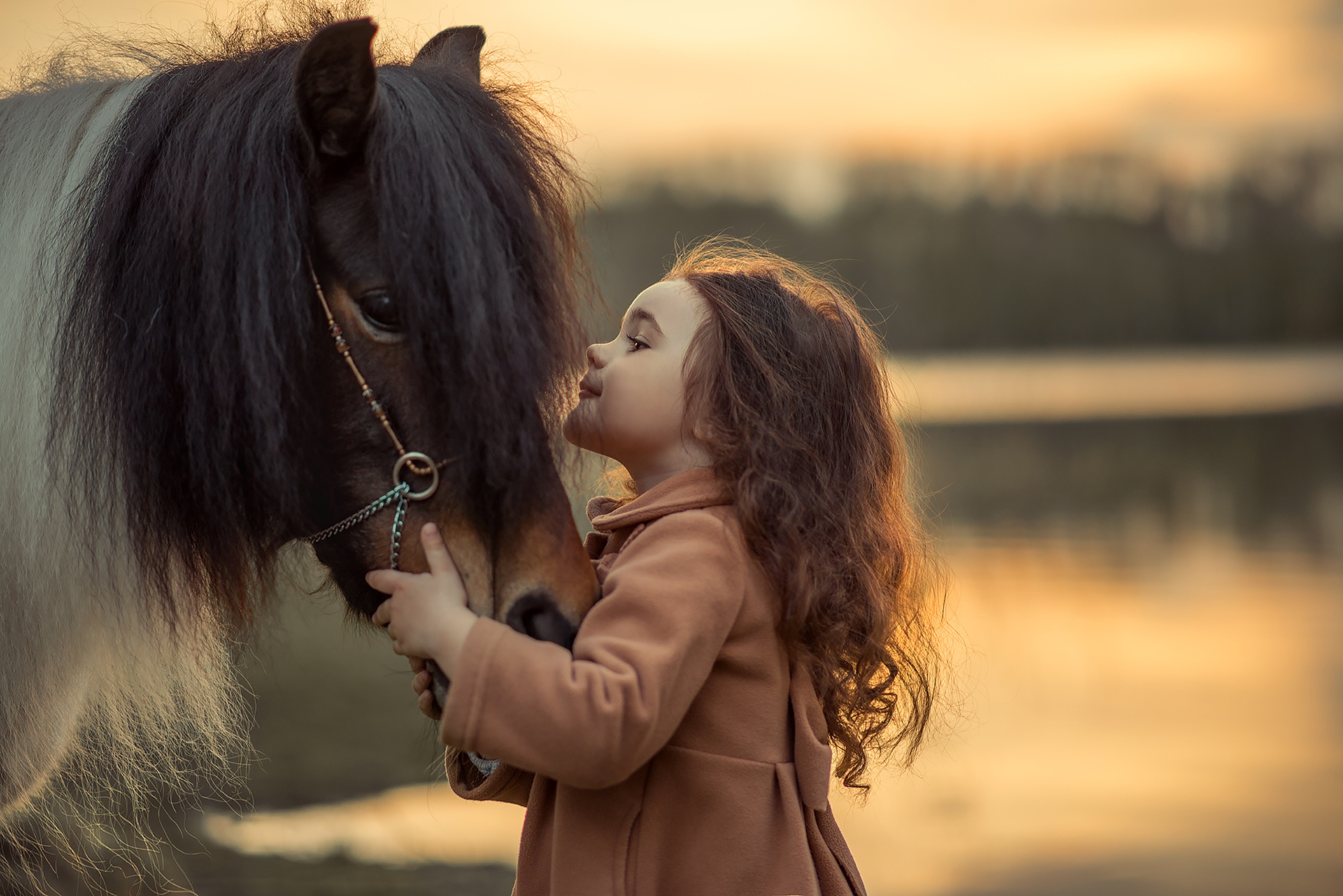 Ребенок обнимает лошадь