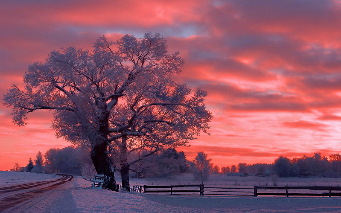 Пурпурный закат зимой