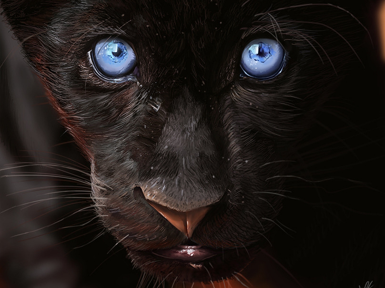 Черная Пантера С Голубыми Глазами