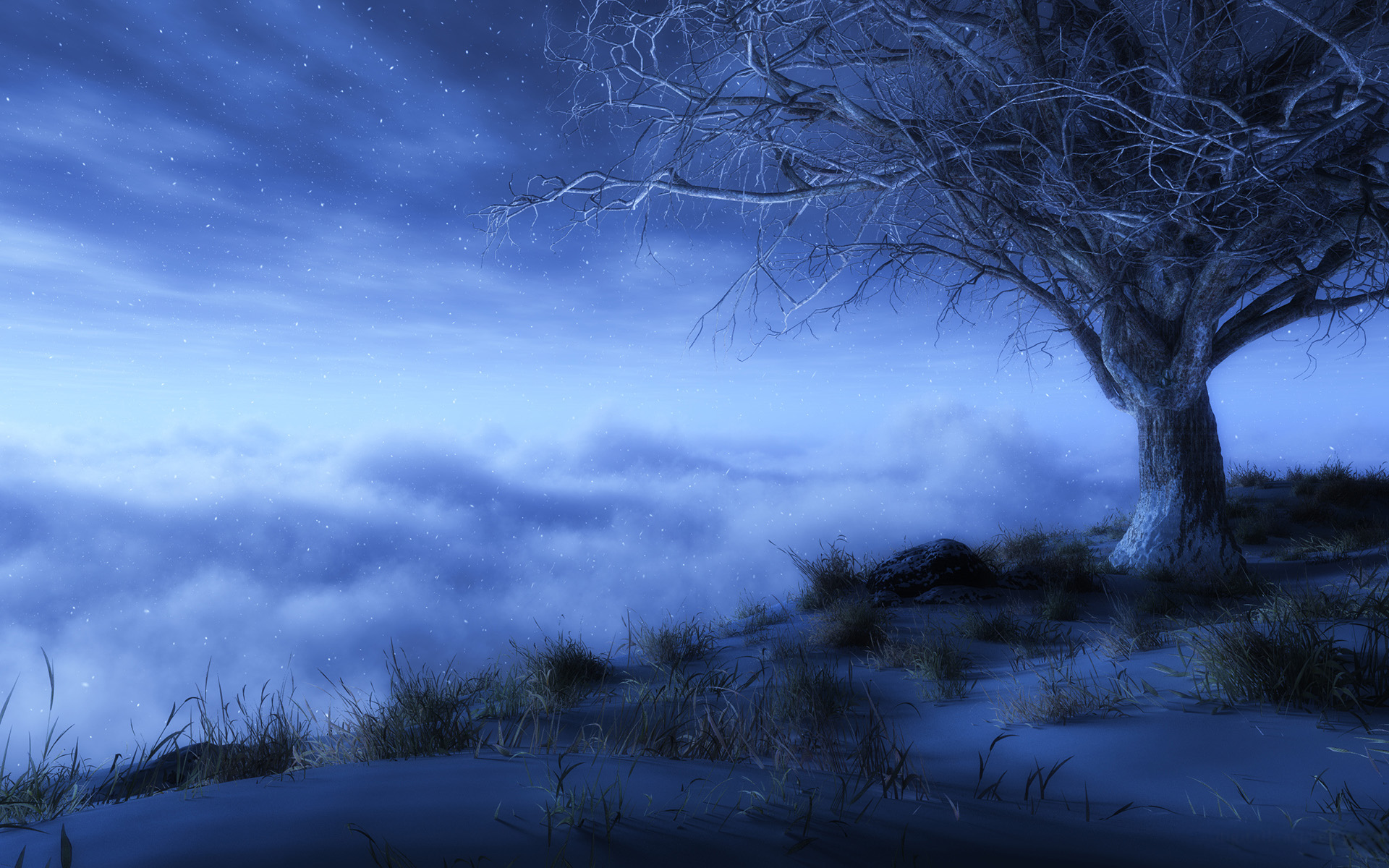android artistic, fantasy, sky, cloud, stars, fog, lonely tree, tree