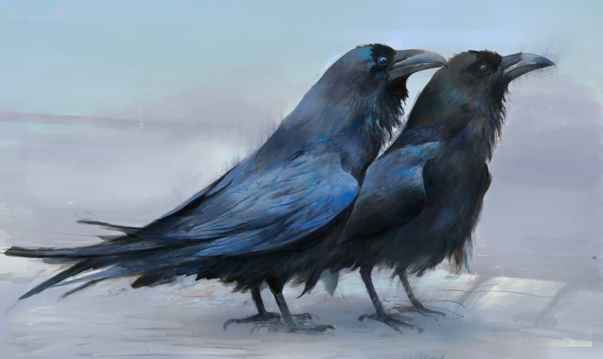 Птичка и ворона. Ворон обои. Синяя ворона обои. Черный ворон обои на рабочий стол. Ворон обои на телефон.