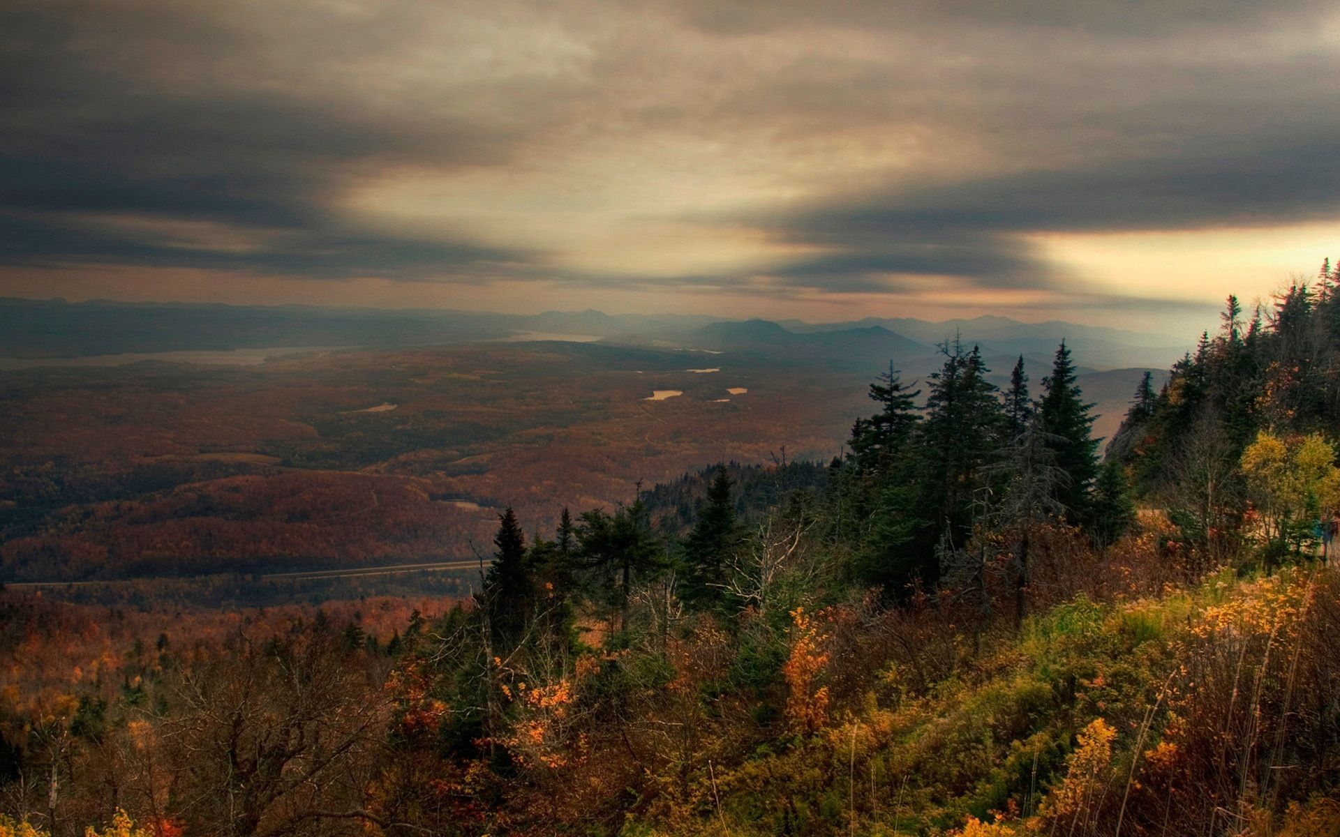 autumn, nature, clouds, forest, fog, height, evening