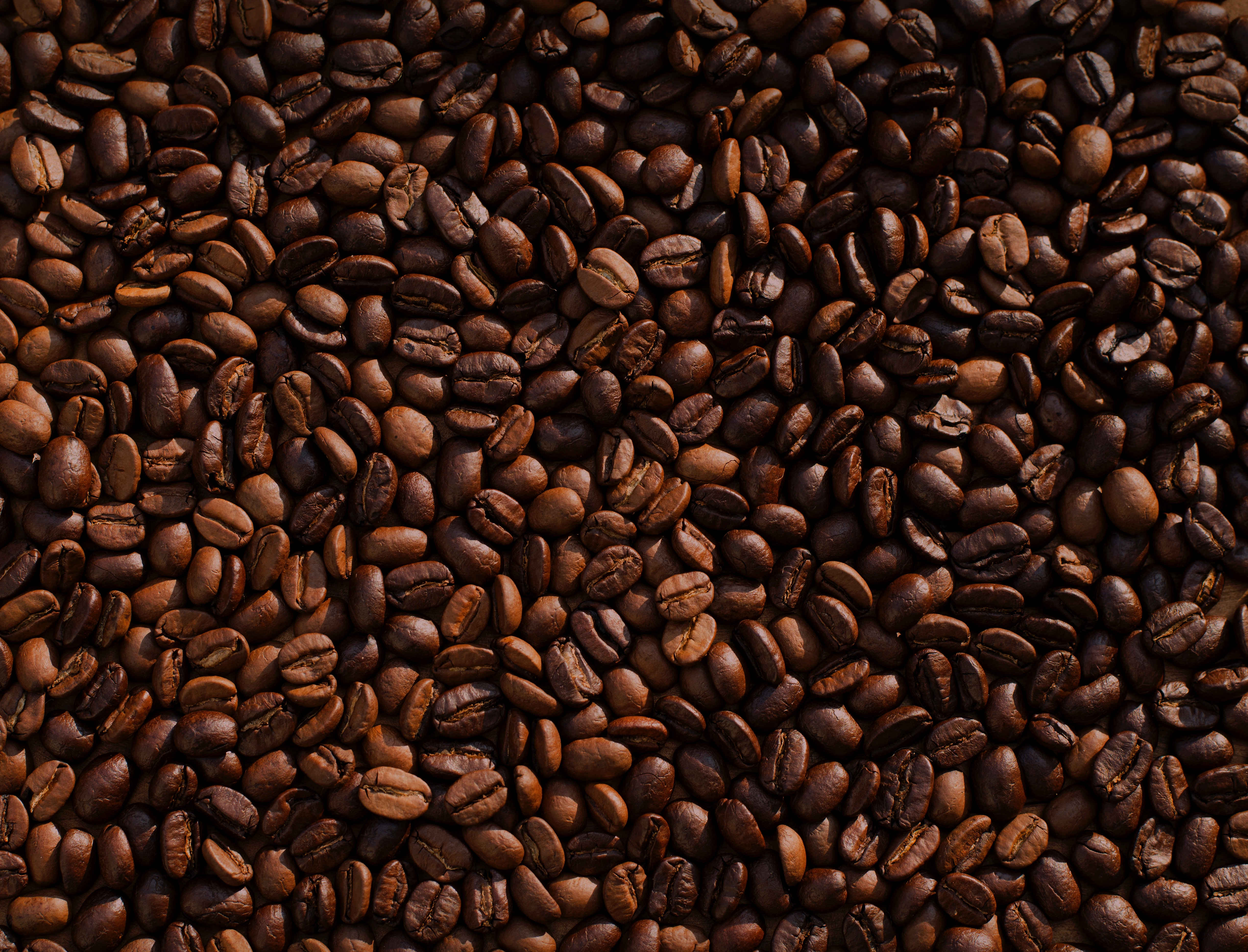 coffee beans, brown, coffee, food, fried, roasted HD wallpaper