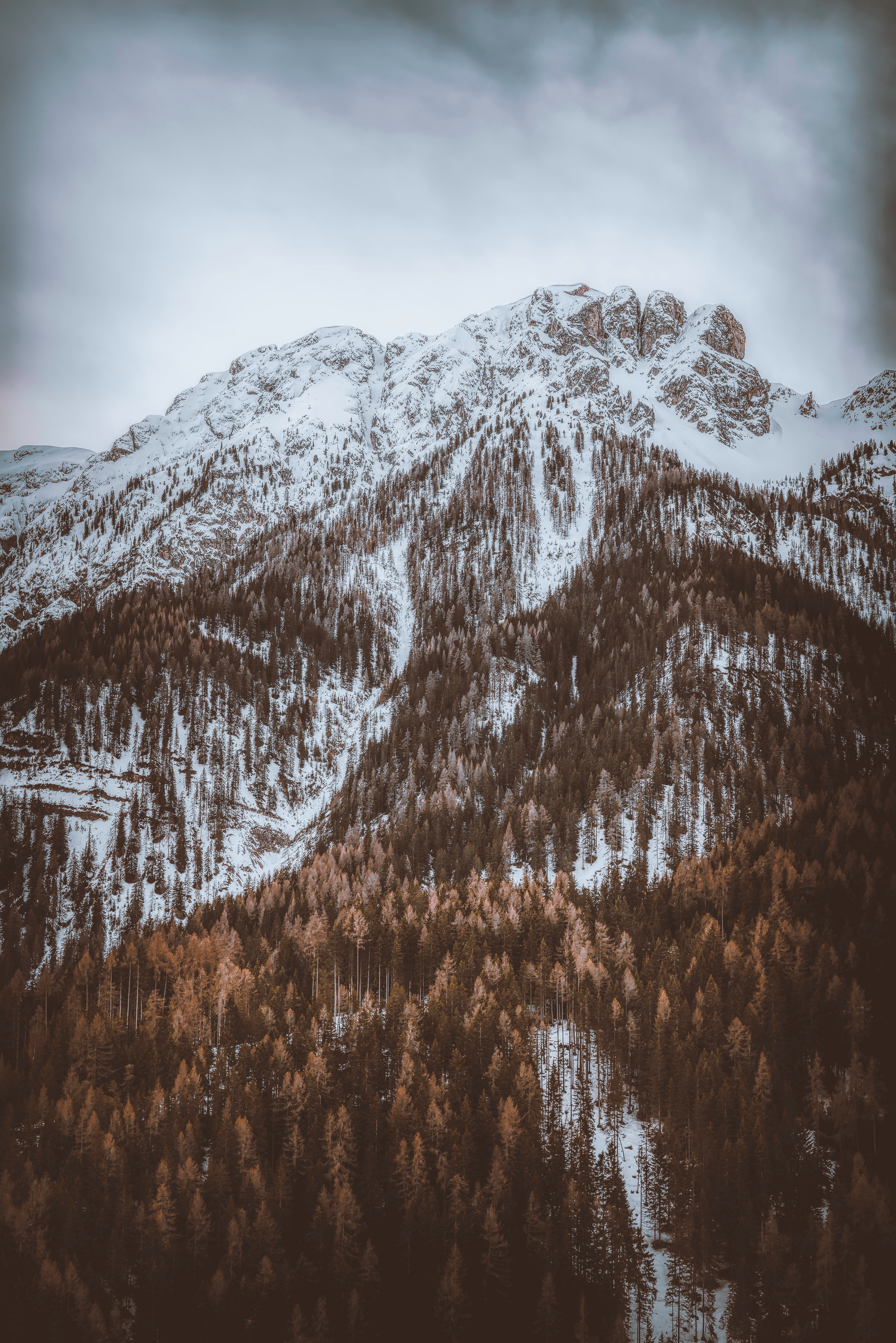 Download mobile wallpaper Vertex, Top, Snow Covered, Trees, Mountain, Nature, Snowbound for free.