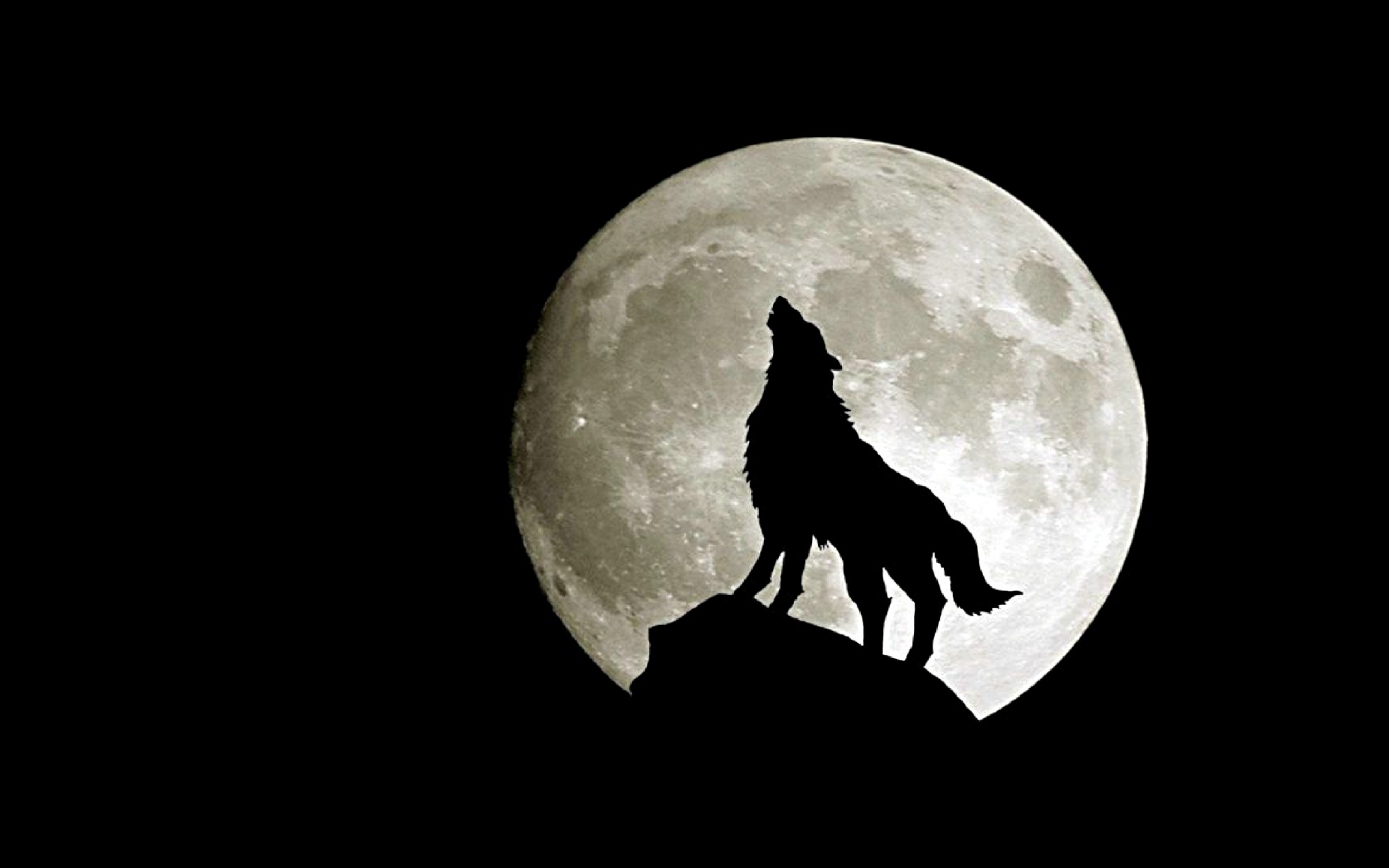 Одинокий волк на фоне Луны