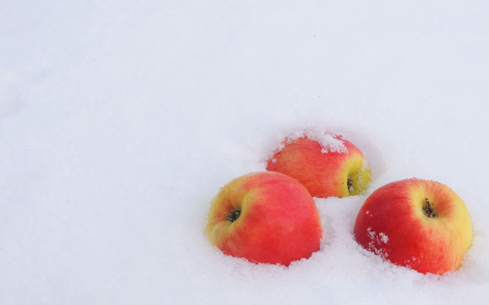 minimalism, apples, new year, frost, winter, snow HD wallpaper