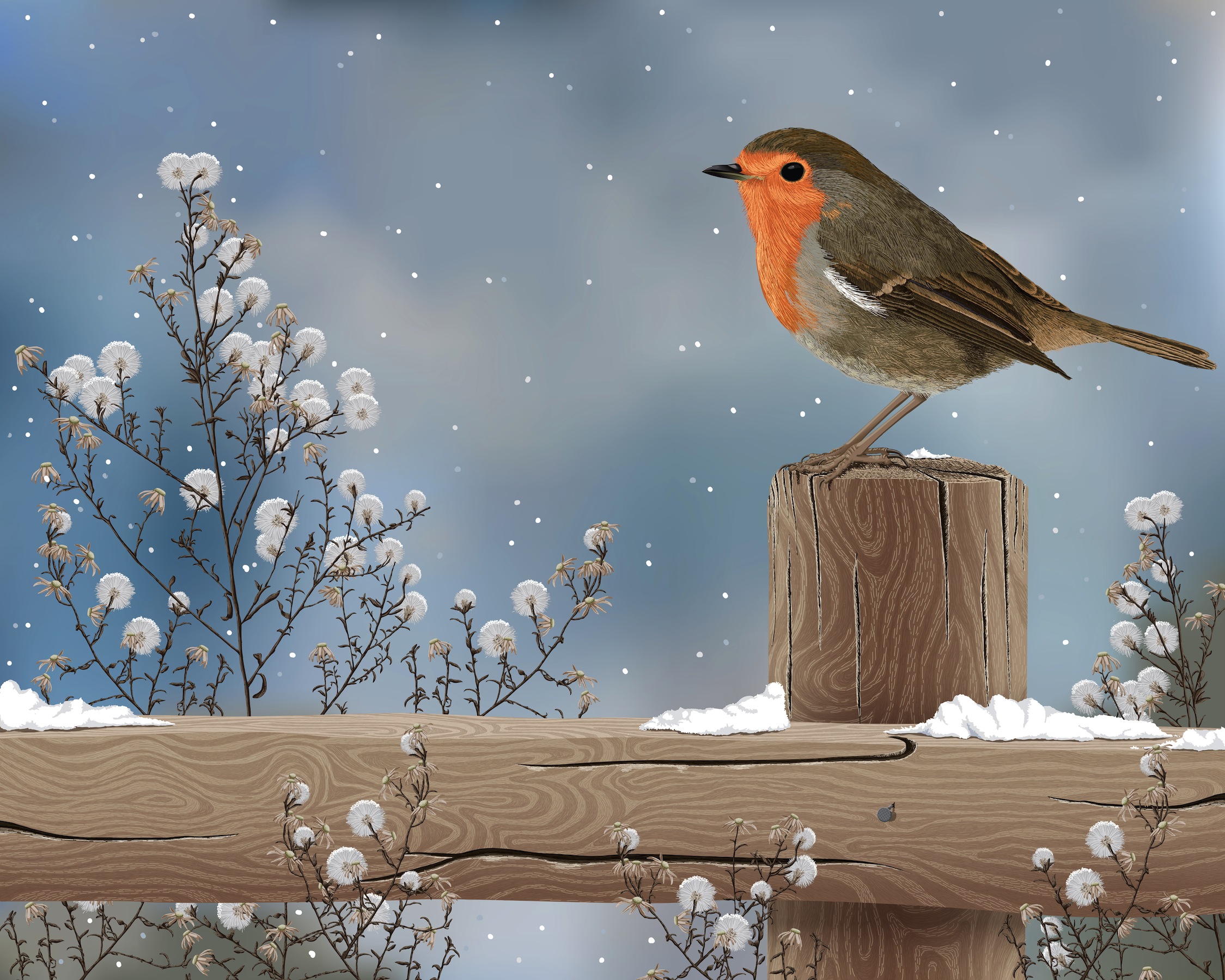 Картинки на рабочий стол зима птицы