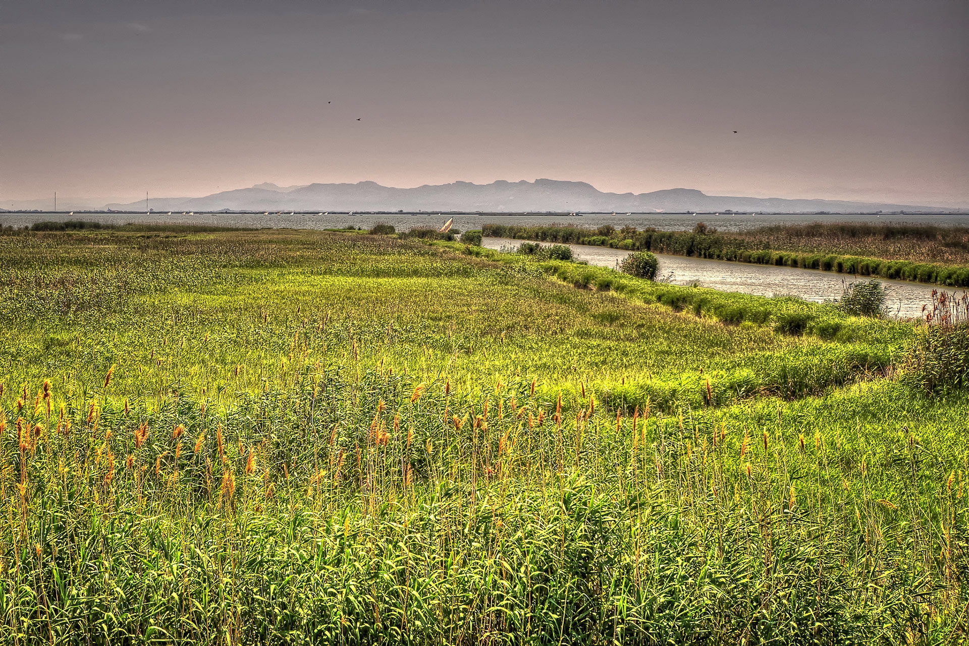 Laden Sie das Natur, Grass, Valencia, See, Spanien, Flüsse, Landschaft-Bild kostenlos auf Ihren PC-Desktop herunter