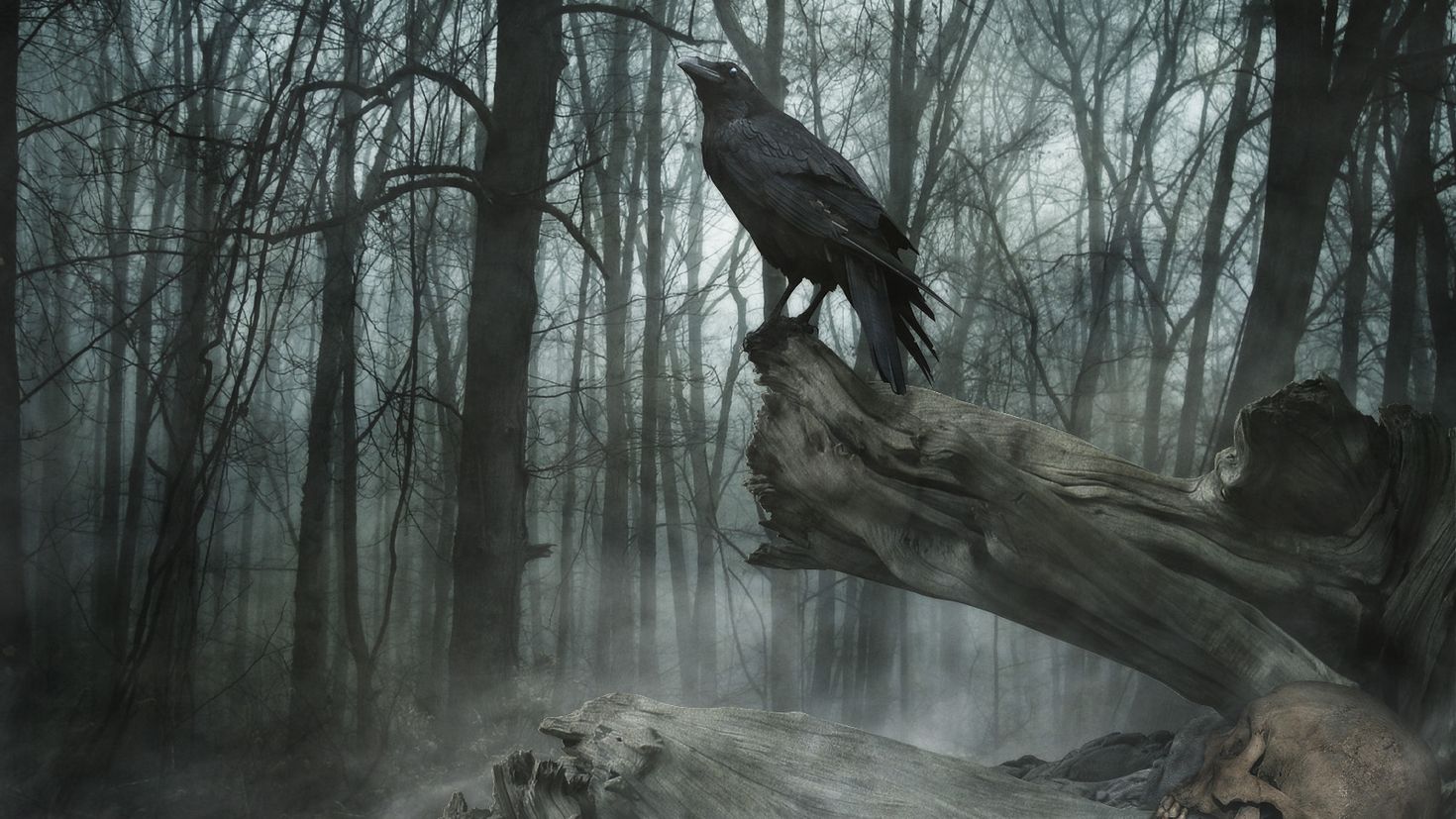 Зловещая птица. Мрачные птицы. Вороны в лесу. Мрачный пейзаж. Мрачный ворон.