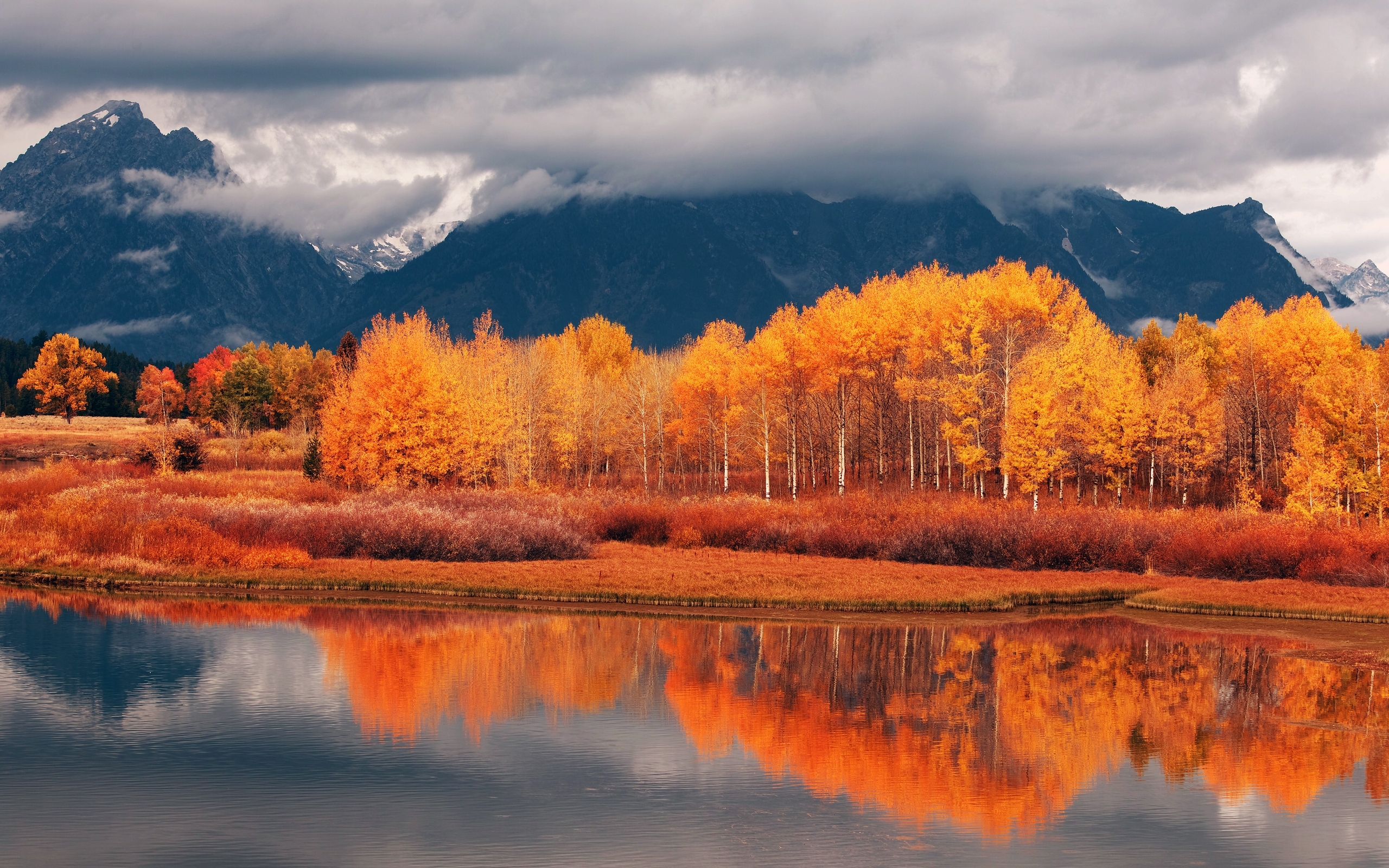 無料モバイル壁紙川, 風景, 秋をダウンロードします。