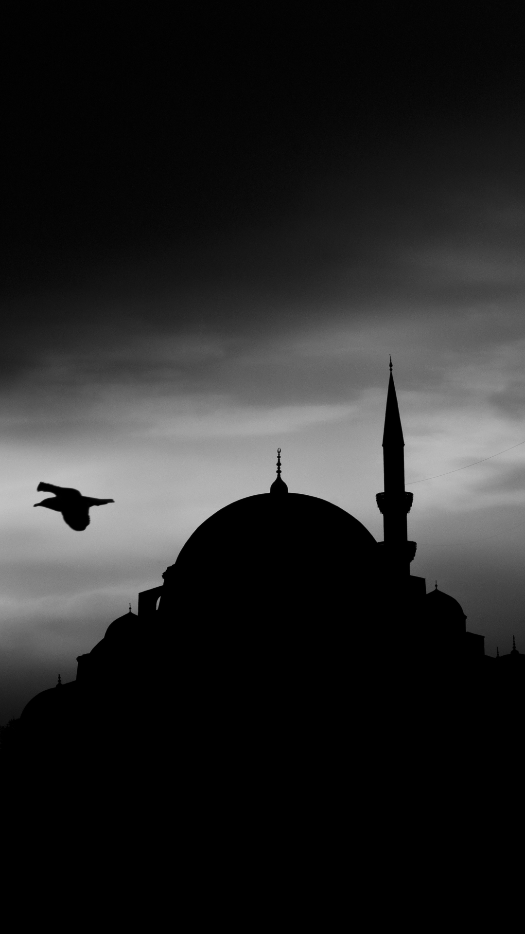 süleymaniye mosque, suleymaniye mosque, religious, silhouette, istanbul, night, mosque, mosques 4K Ultra