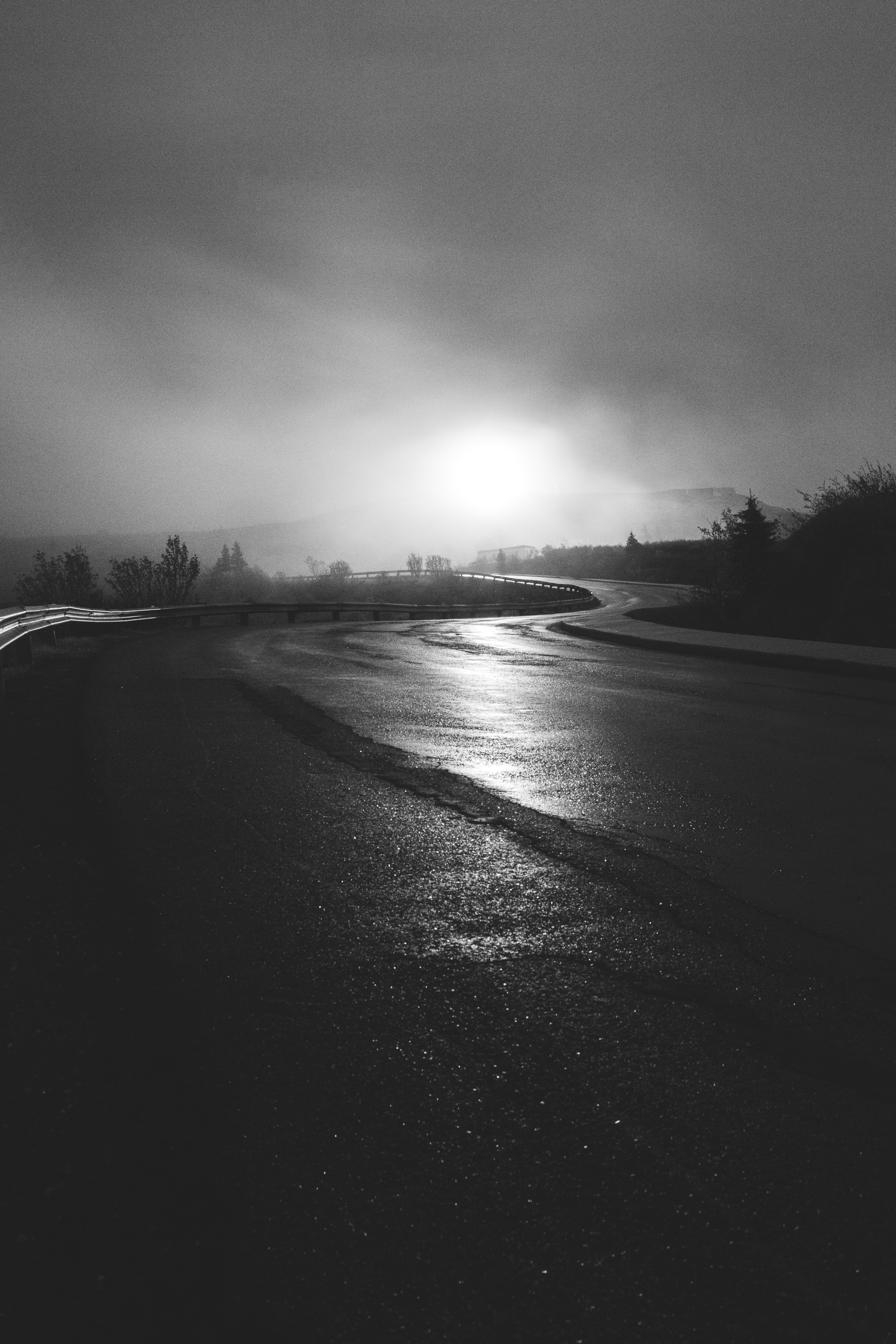 nature, road, fog, bw, chb, winding, sinuous 8K