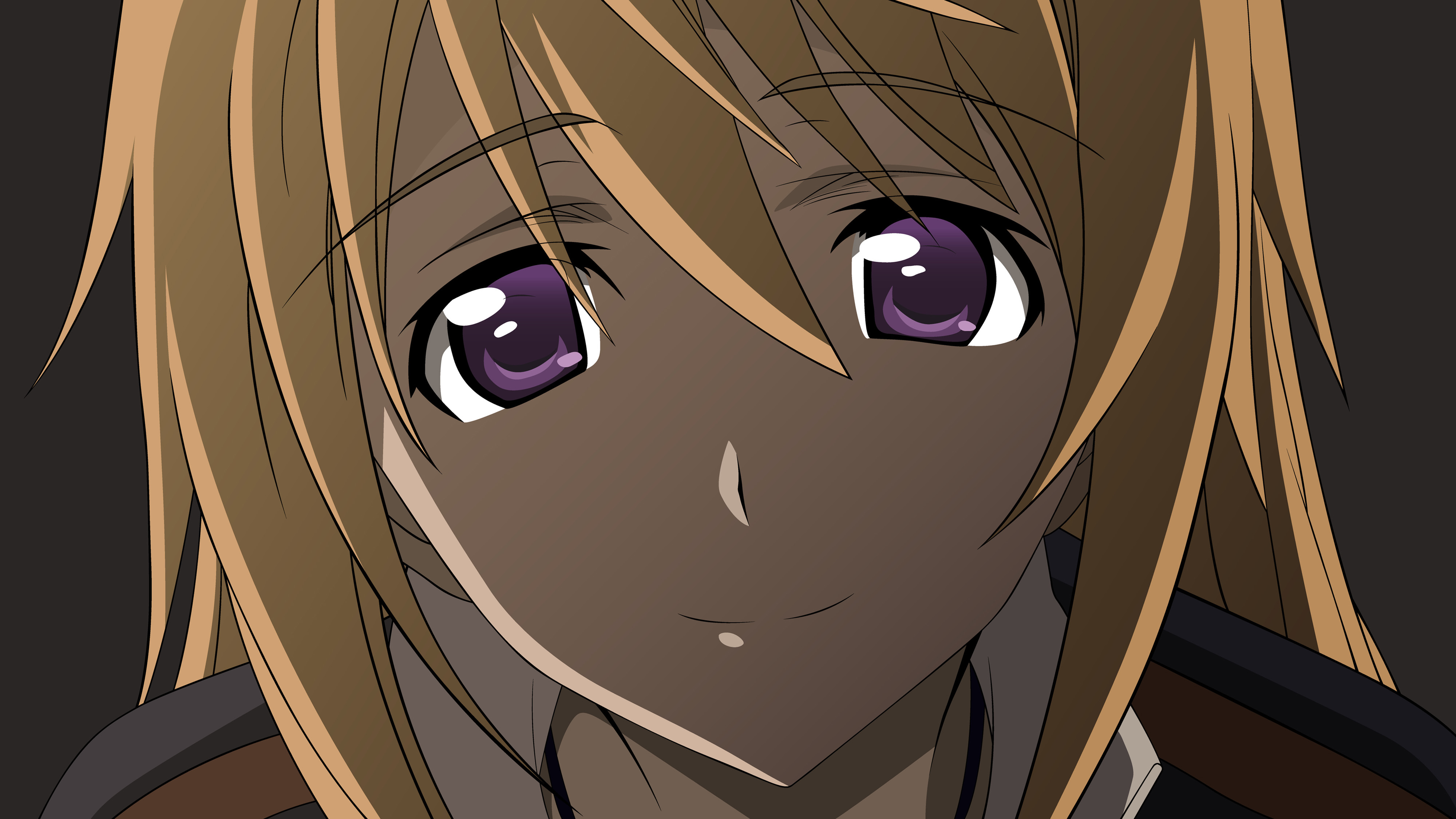 Infinite Stratos, Mobile Wallpaper - Zerochan Anime Image Board