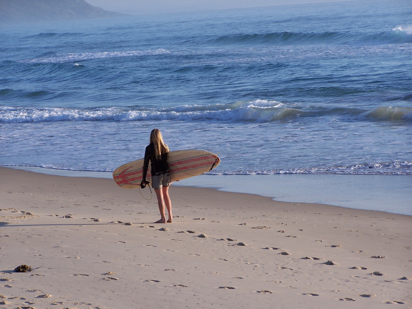 surfer, sports, surfing, beach, ocean, surfboard, wave