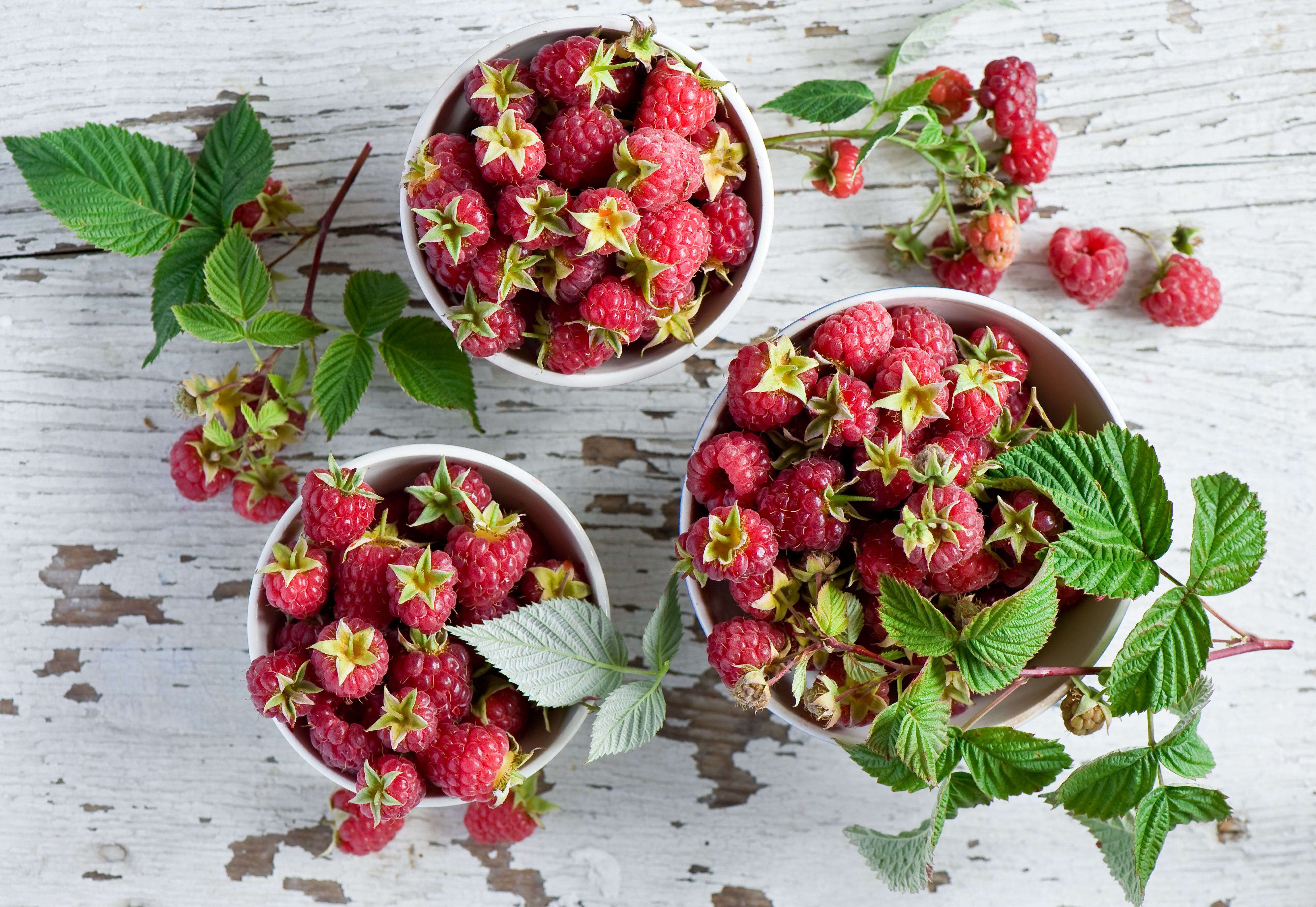 Download mobile wallpaper Bowl, Raspberry, Table, Food, Berries for free.