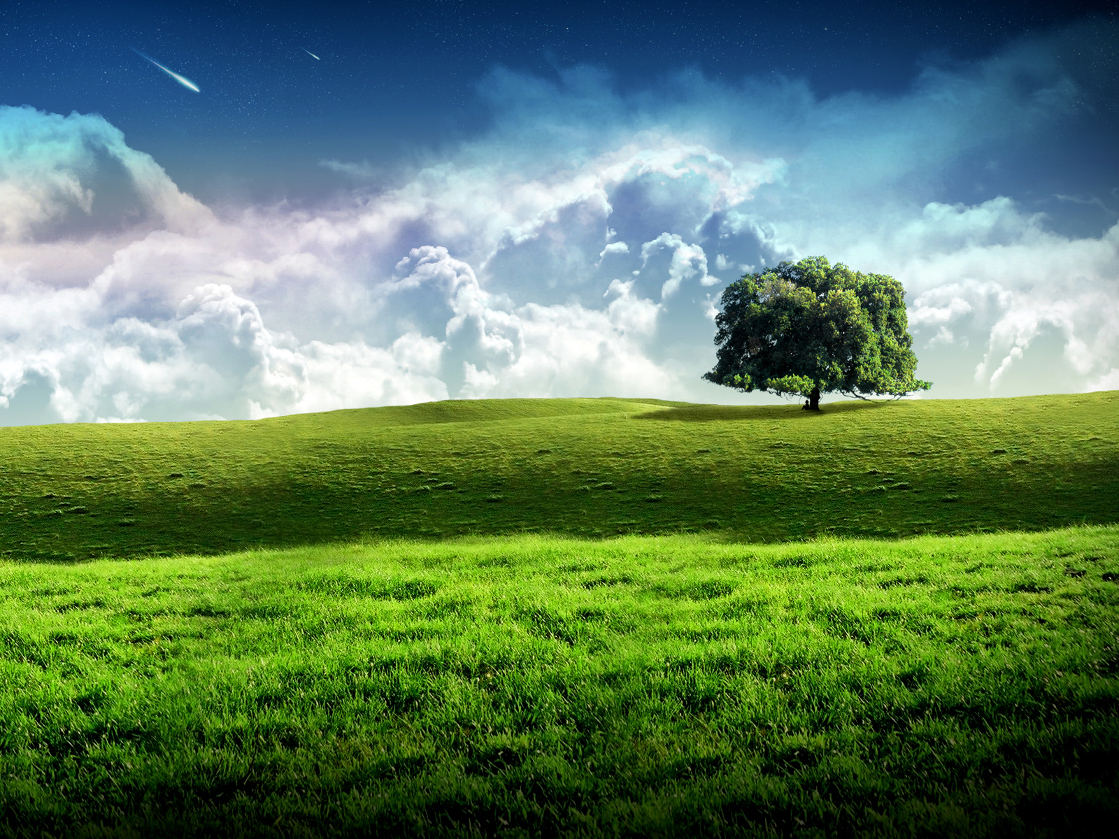 Пейзаж с небом и зеленой травой
