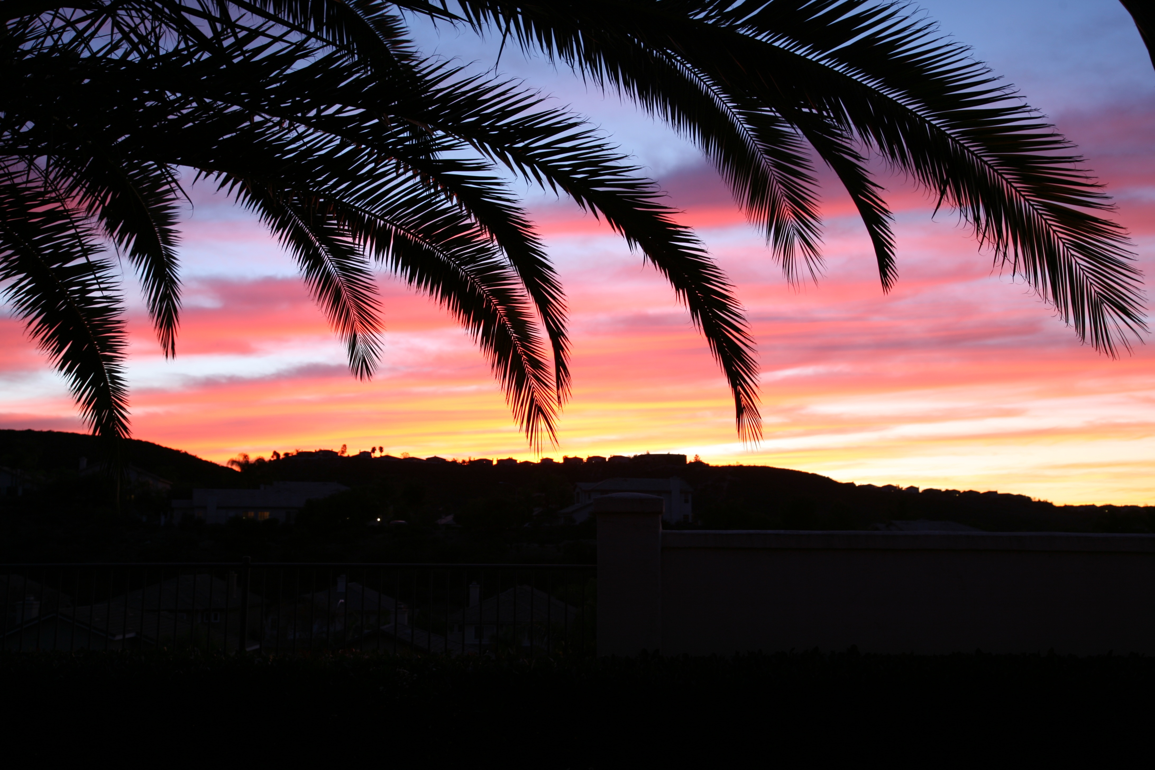 Download mobile wallpaper Sunset, Palm, Sky, Dark for free.