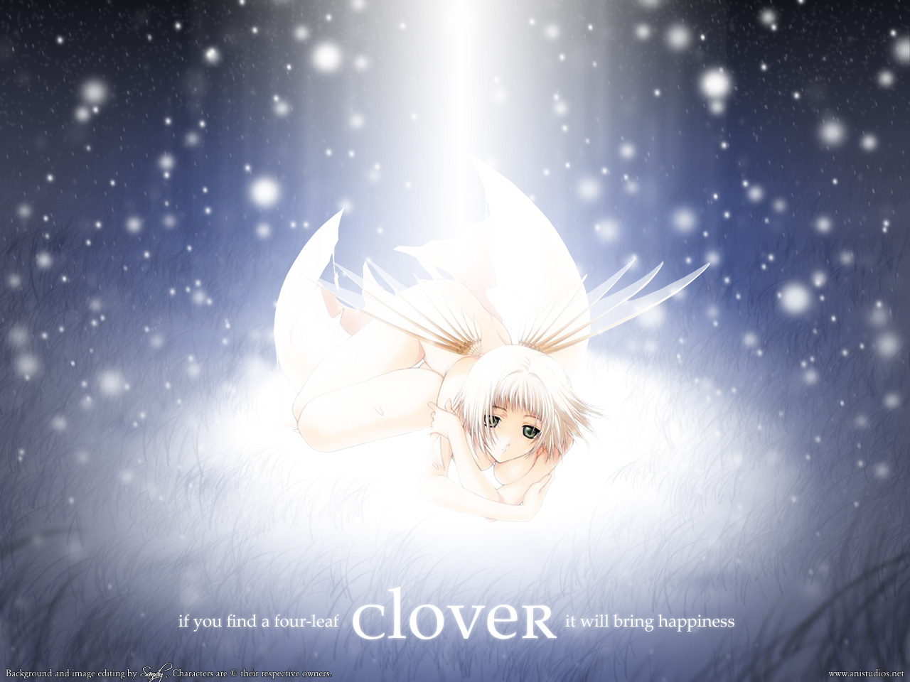 anime, clover