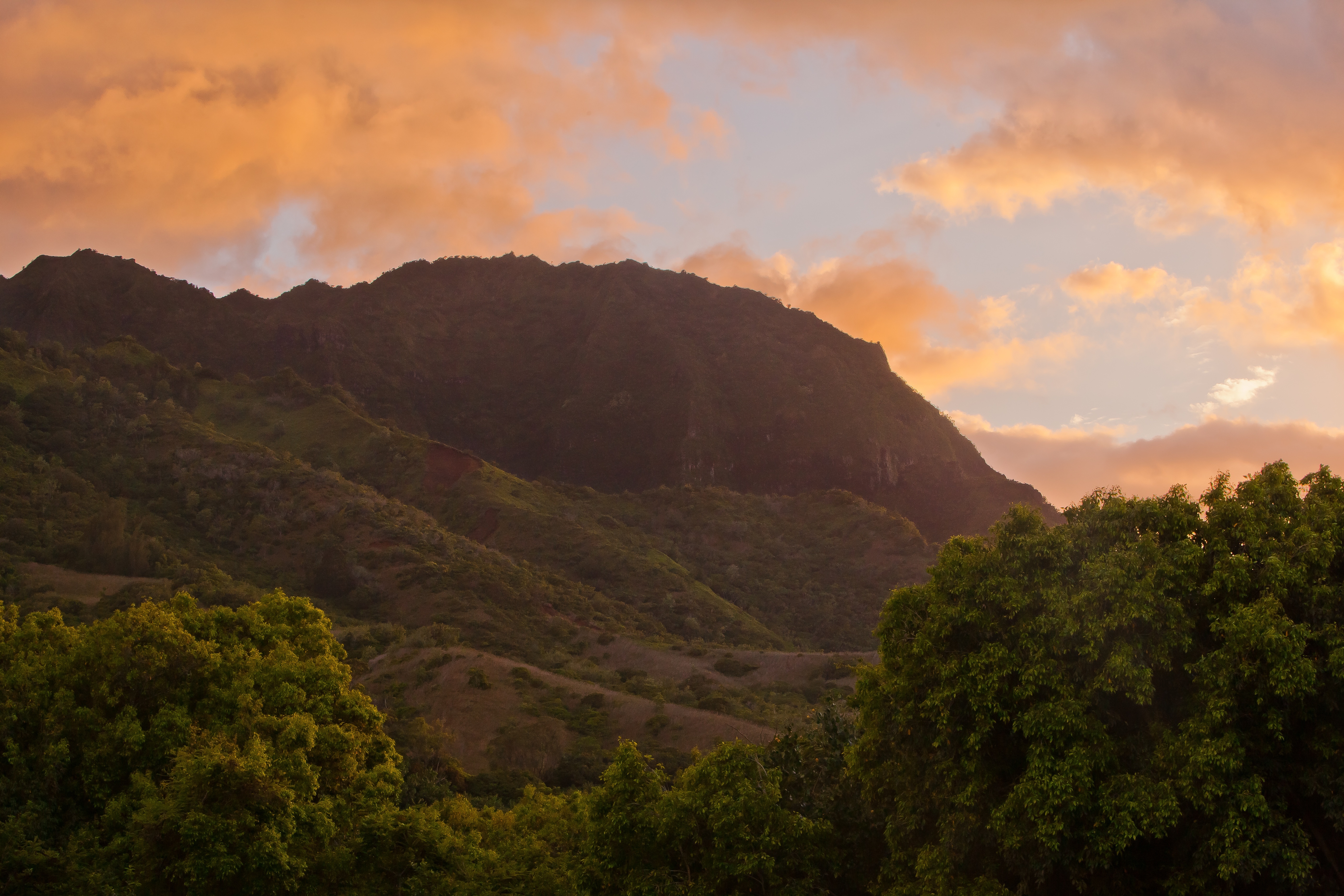 Laden Sie das Natur, Bäume, Sky, Morgendämmerung, Mountains-Bild kostenlos auf Ihren PC-Desktop herunter