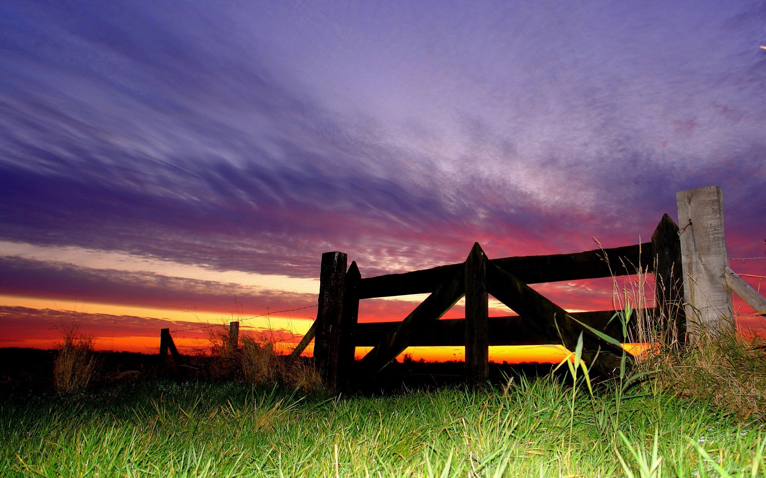 Laden Sie das Grass, Sky, Zaun, Natur, Abend-Bild kostenlos auf Ihren PC-Desktop herunter