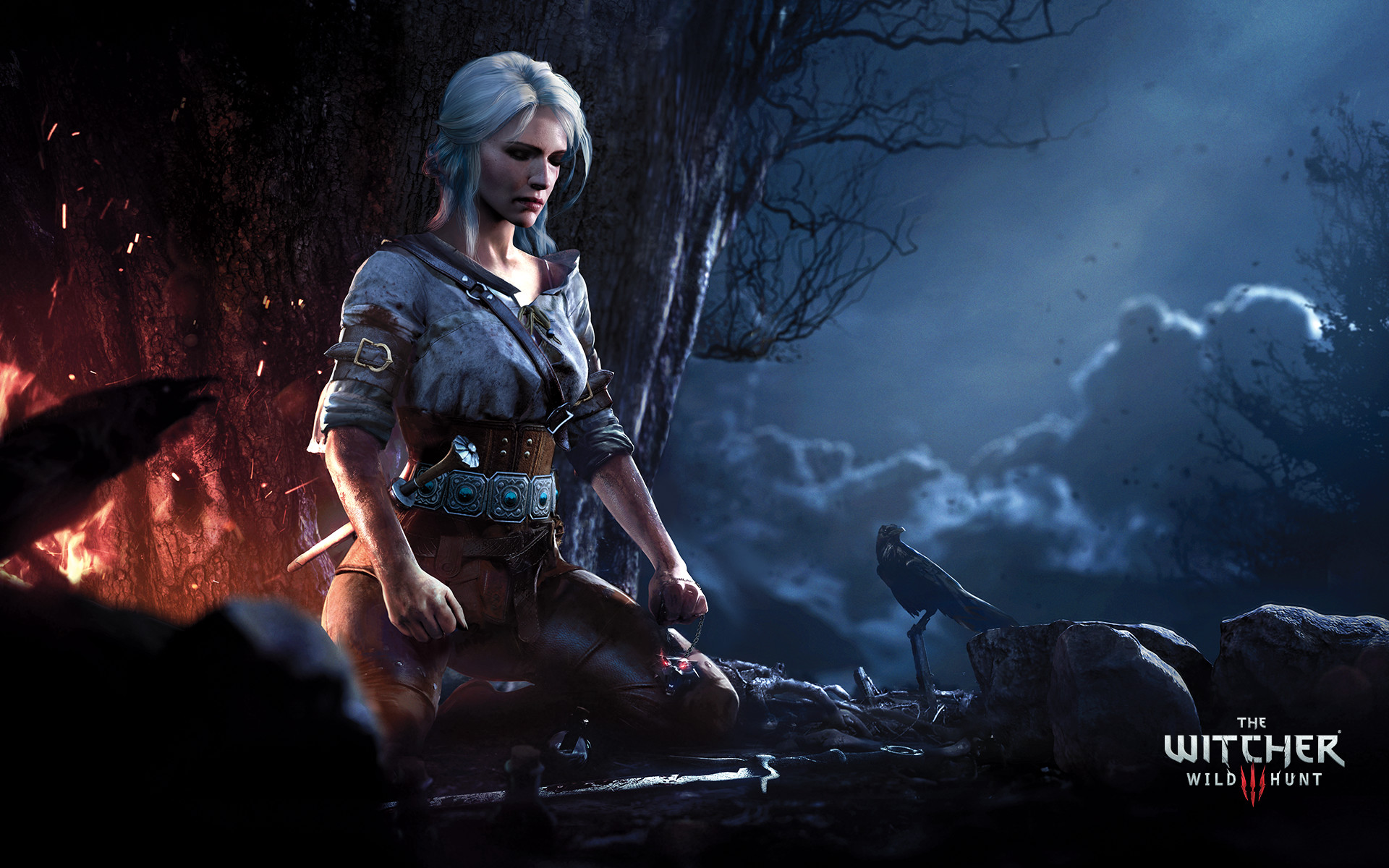 ciri (the witcher), the witcher, the witcher 3: wild hunt, video game