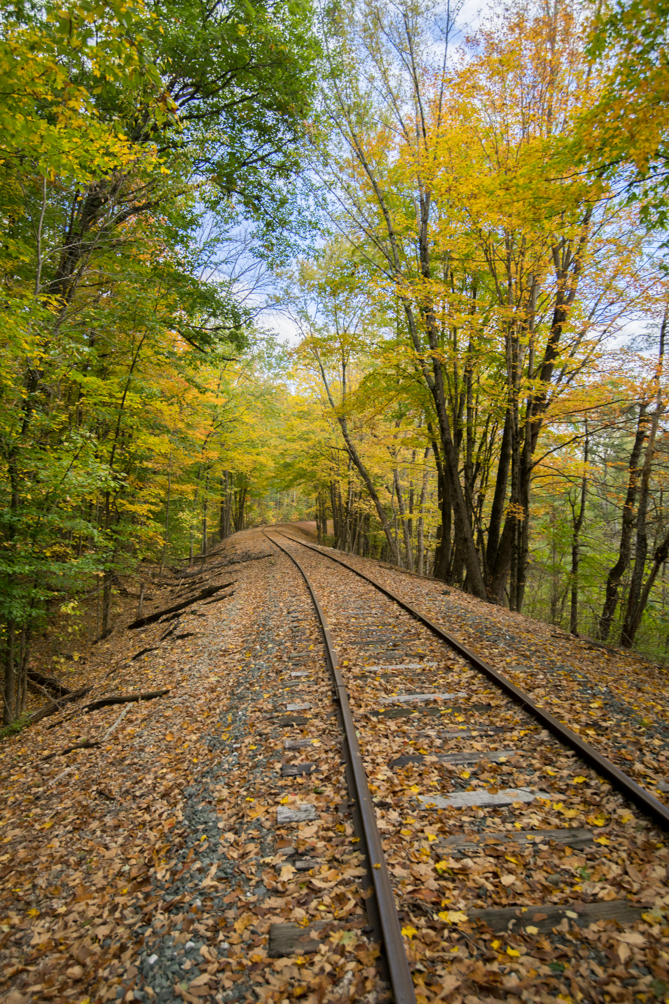 railway, nature, trees, autumn, rails HD for desktop 1080p