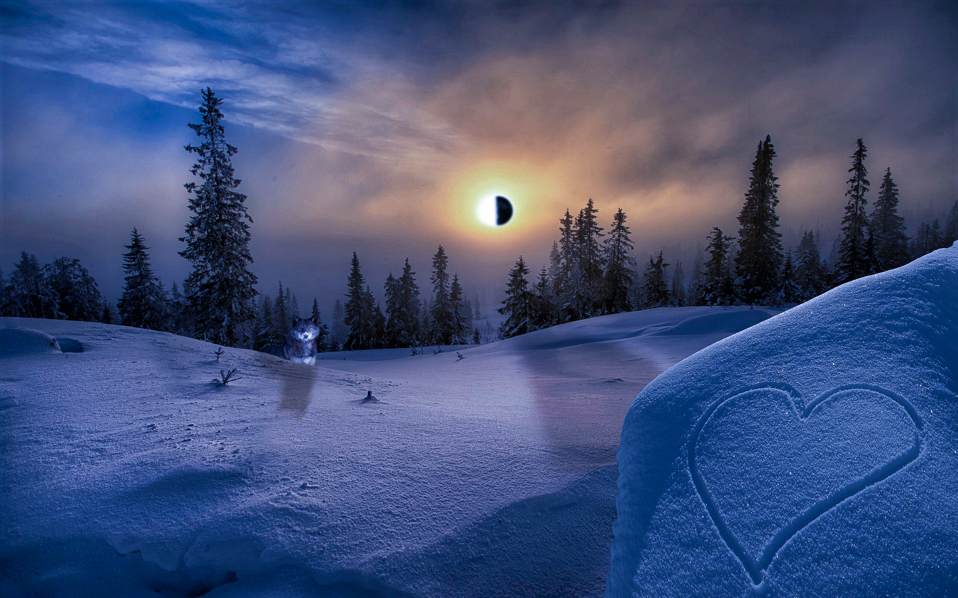 earth, sunset, eclipse, forest, sky, snow, winter, wolf 8K
