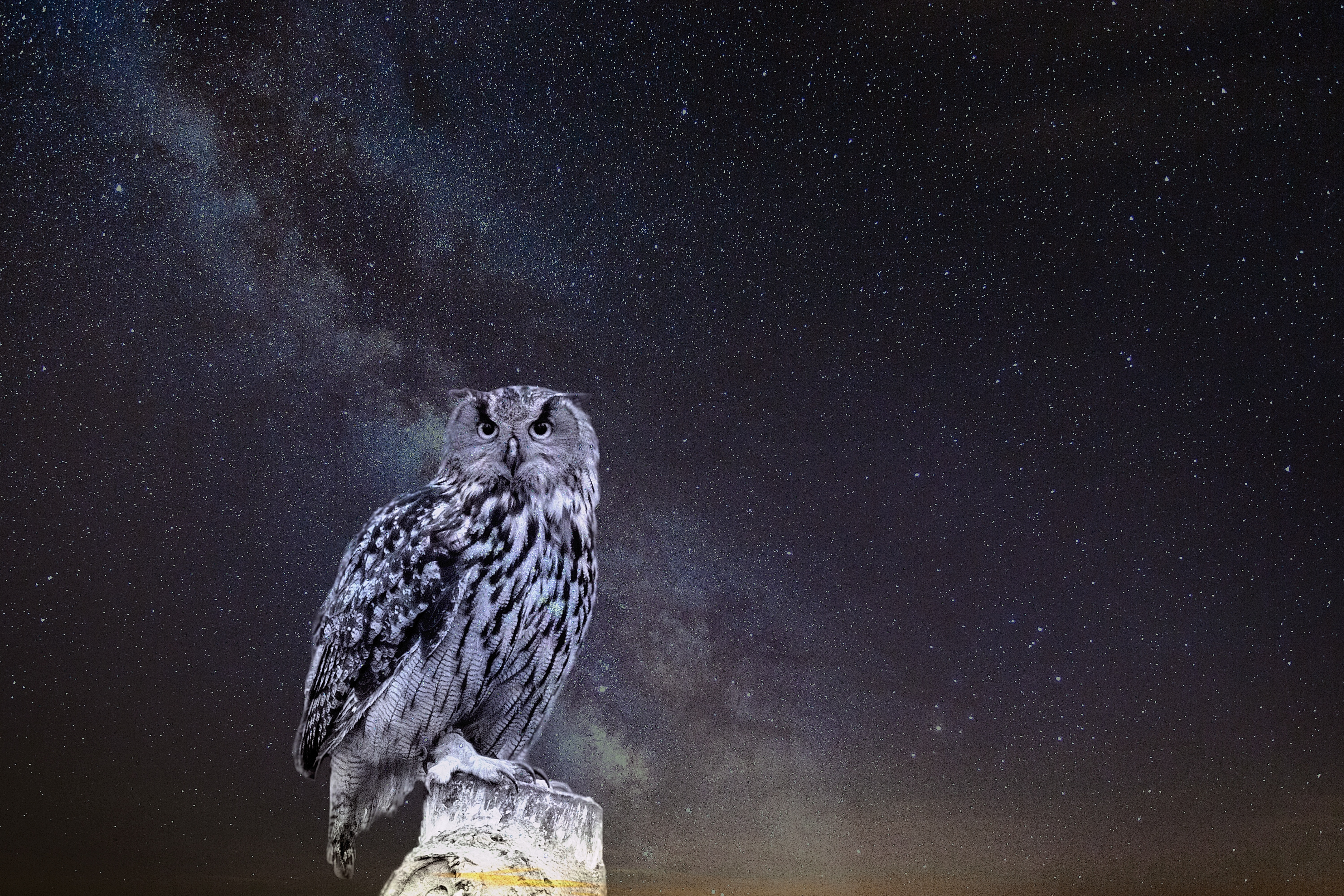 android owl, animals, starry sky, photoshop