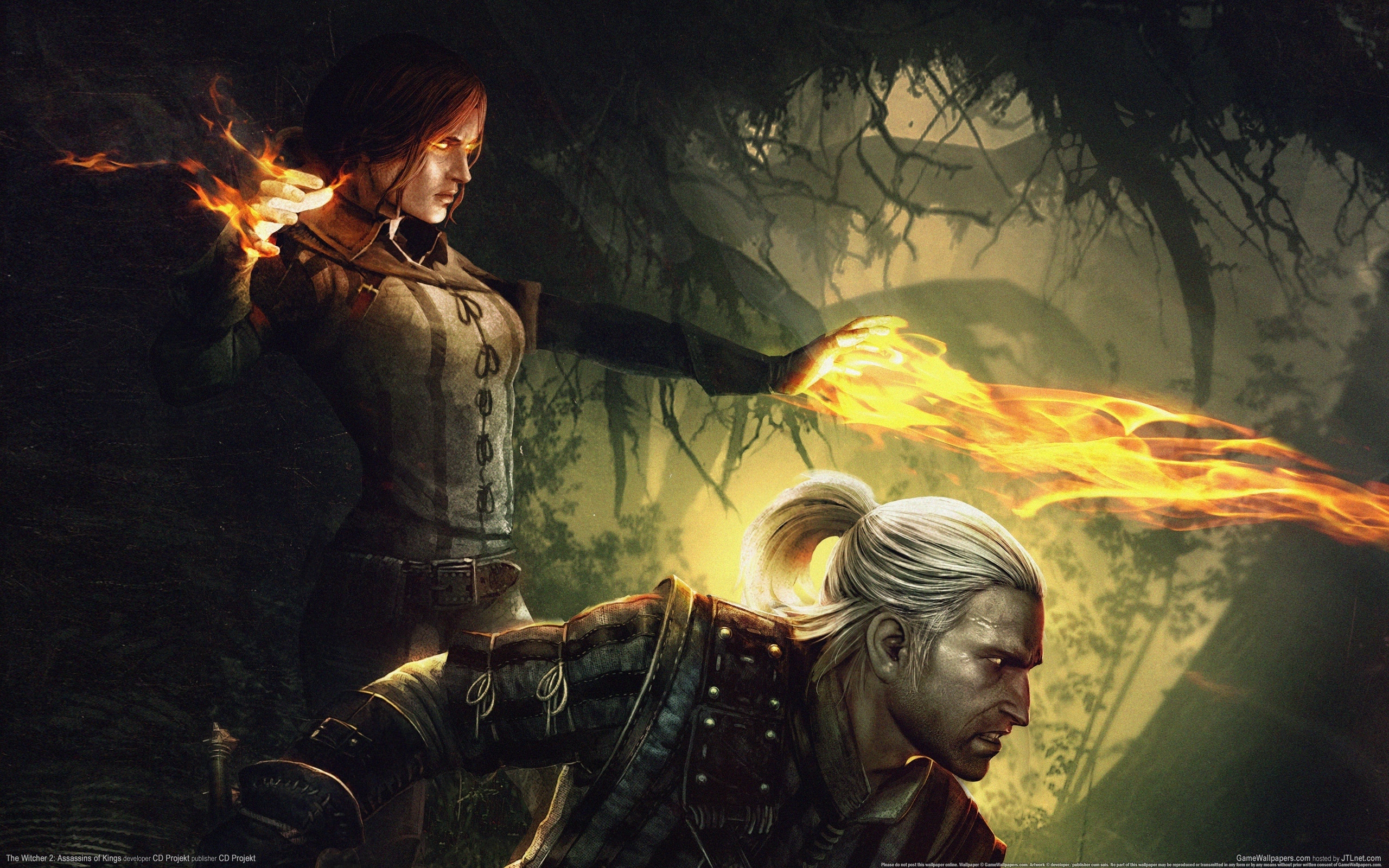 Download mobile wallpaper Witcher, Games for free.