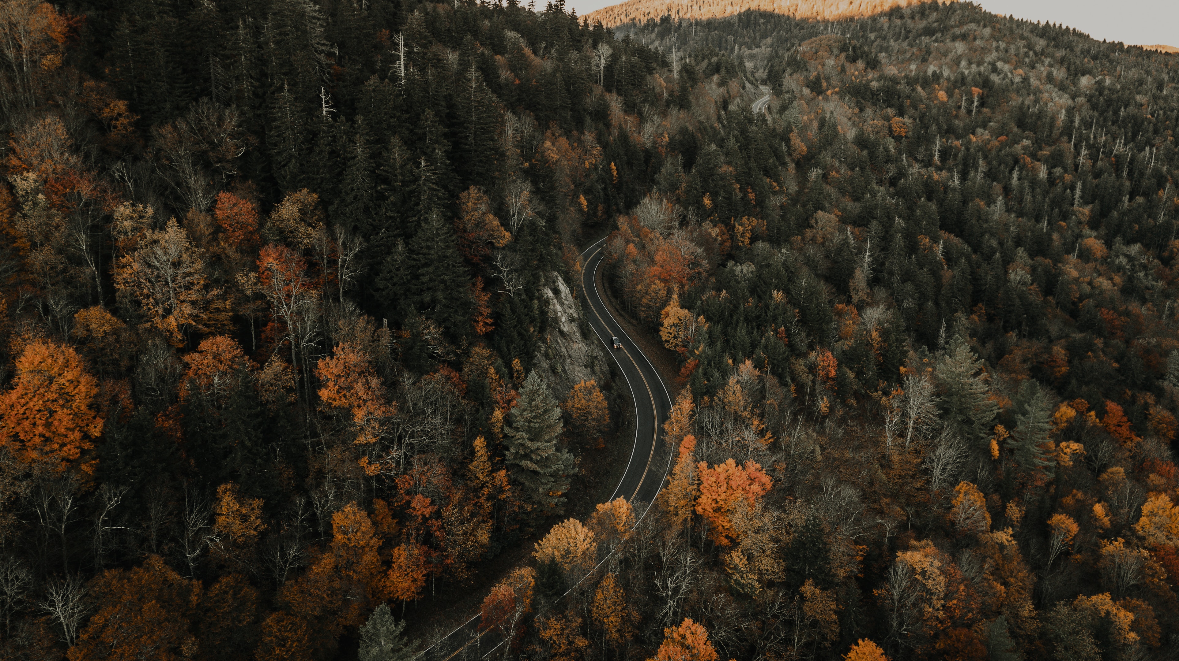 movement, autumn, nature, view from above, road, forest, traffic
