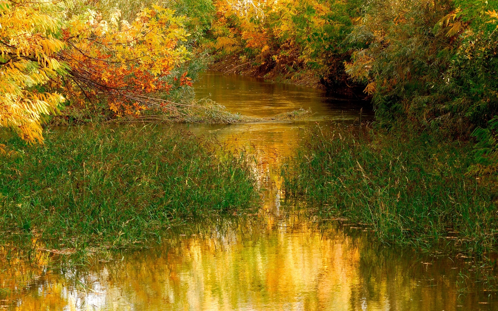 Скачать картинку Трава, Река, Пейзаж, Осень в телефон бесплатно.