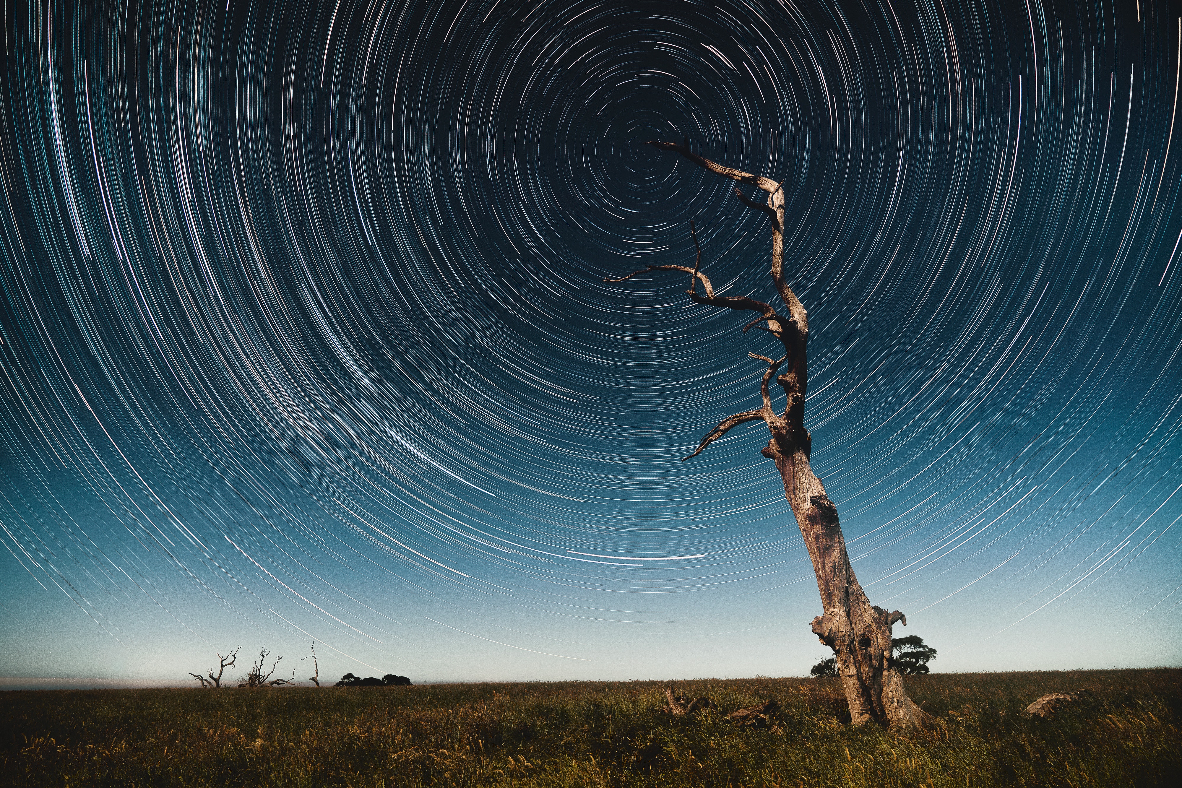 Download mobile wallpaper Wood, Movement, Tree, Traffic, Long Exposure, Starry Sky, Stars, Kaleidoscope, Nature for free.