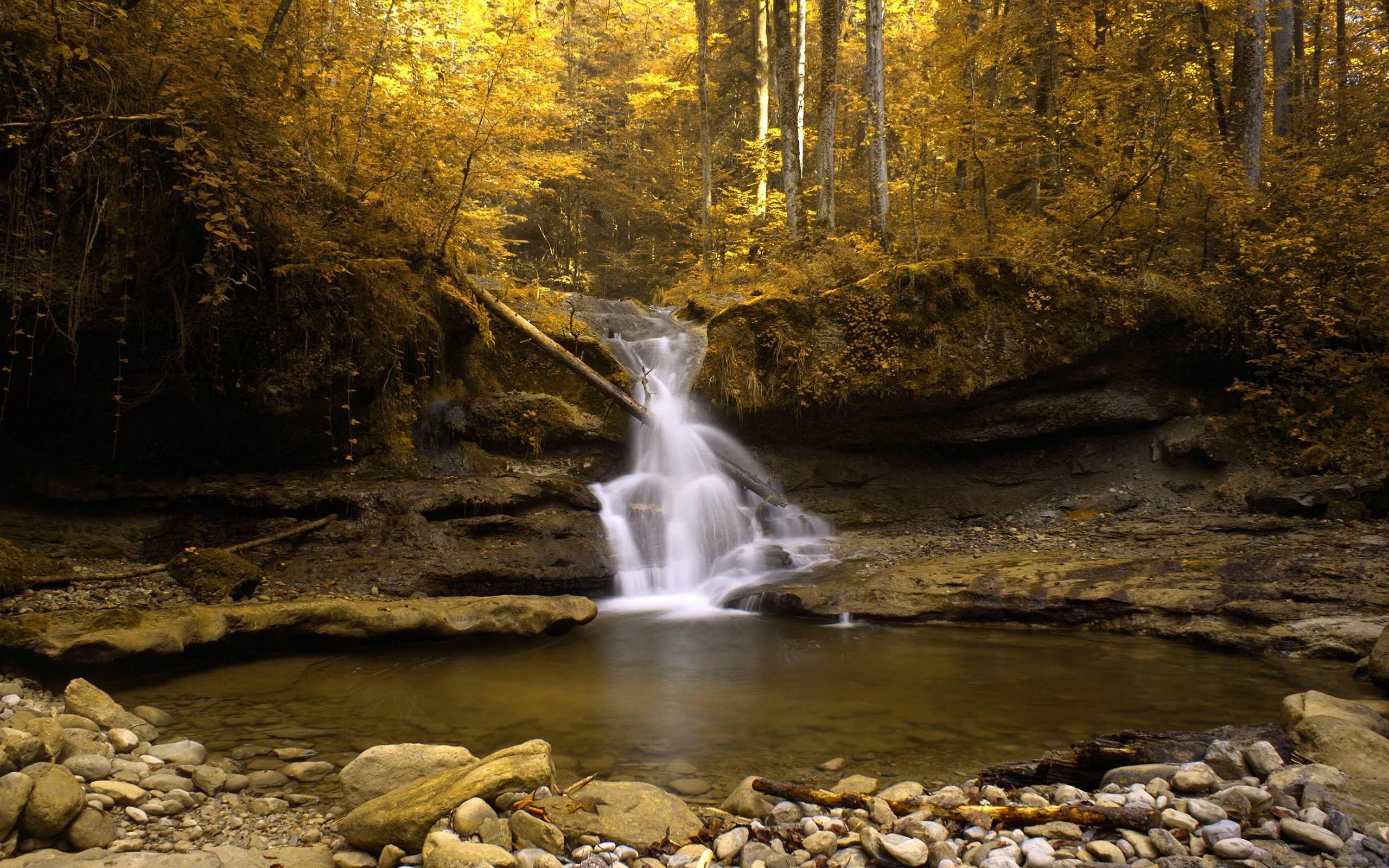 Скачать картинку Река, Деревья, Пейзаж, Водопады, Осень в телефон бесплатно.