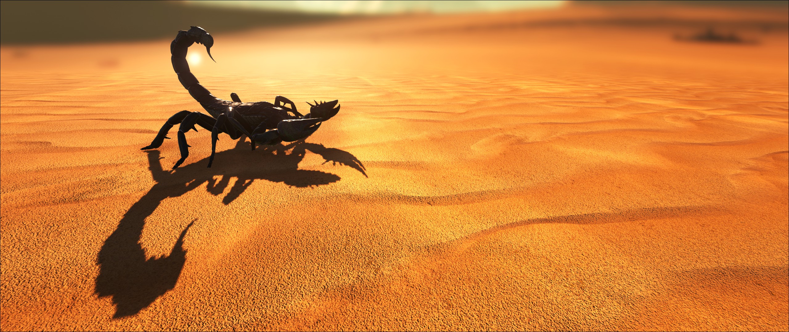 Скорпион в пустыне