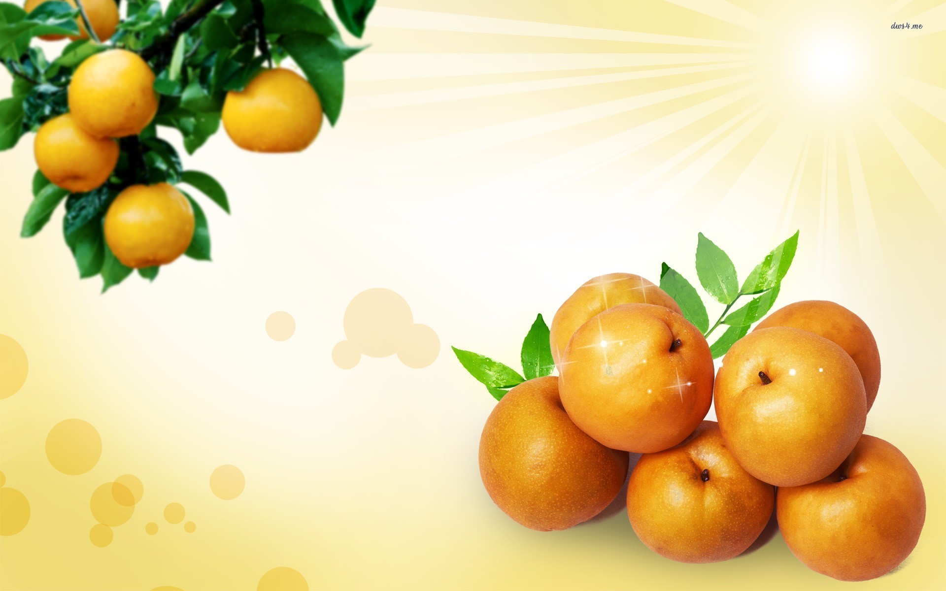 pear, food, apricot, fruits HD wallpaper